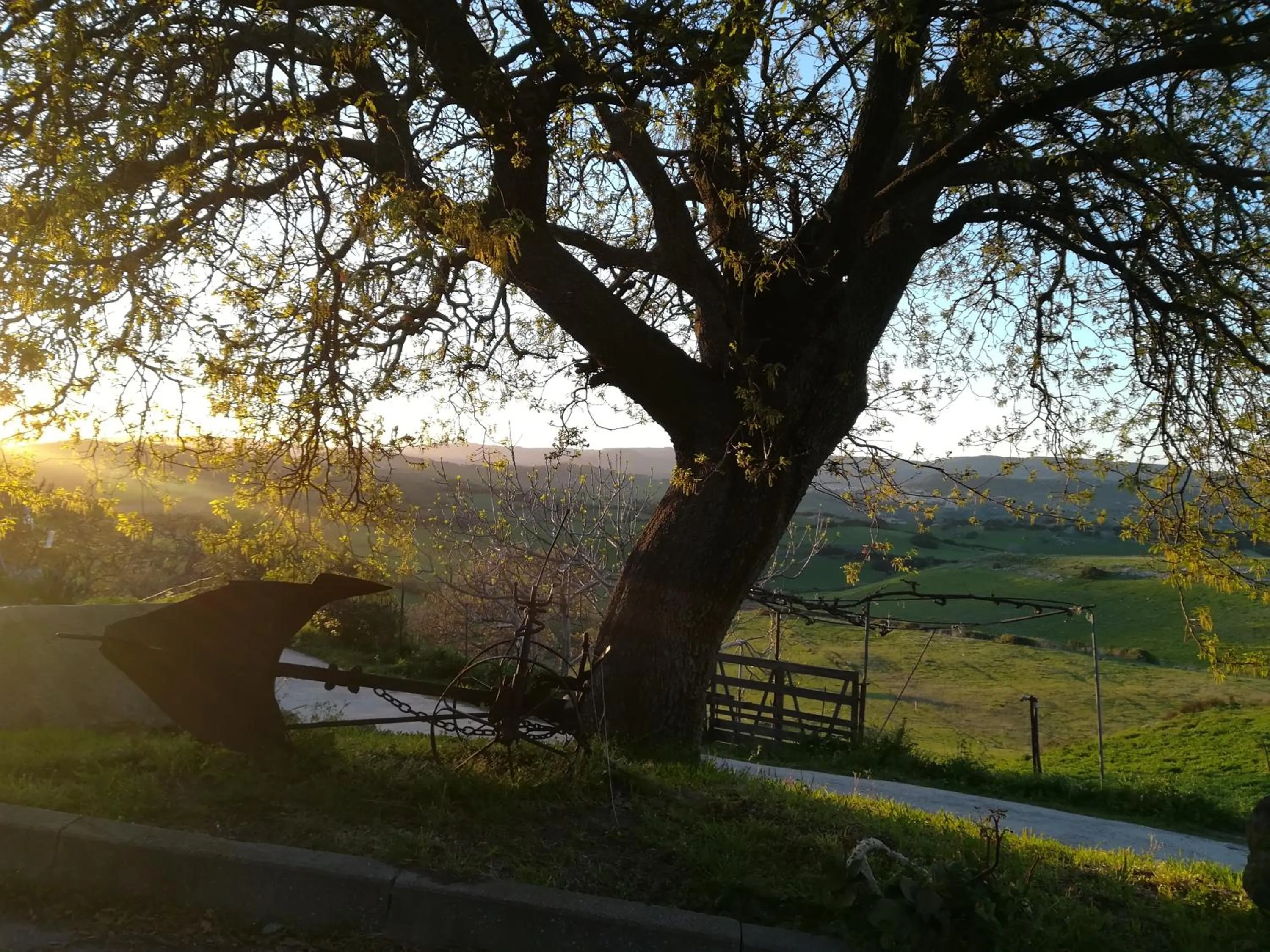 Property building in bed and coffee Sas Damas