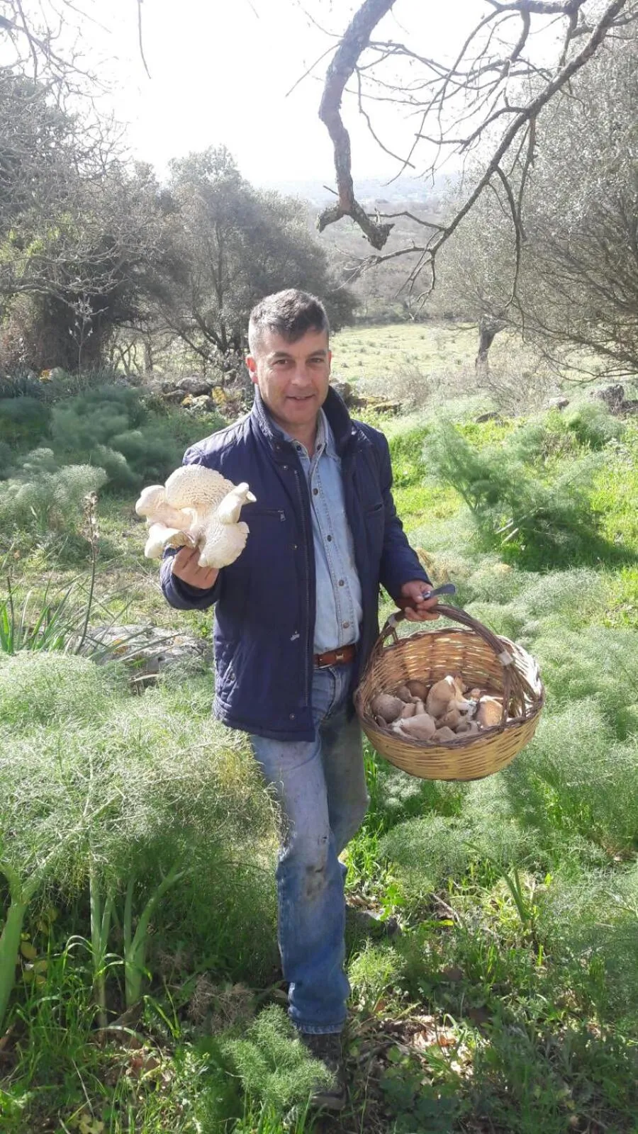 bed and coffee Sas Damas