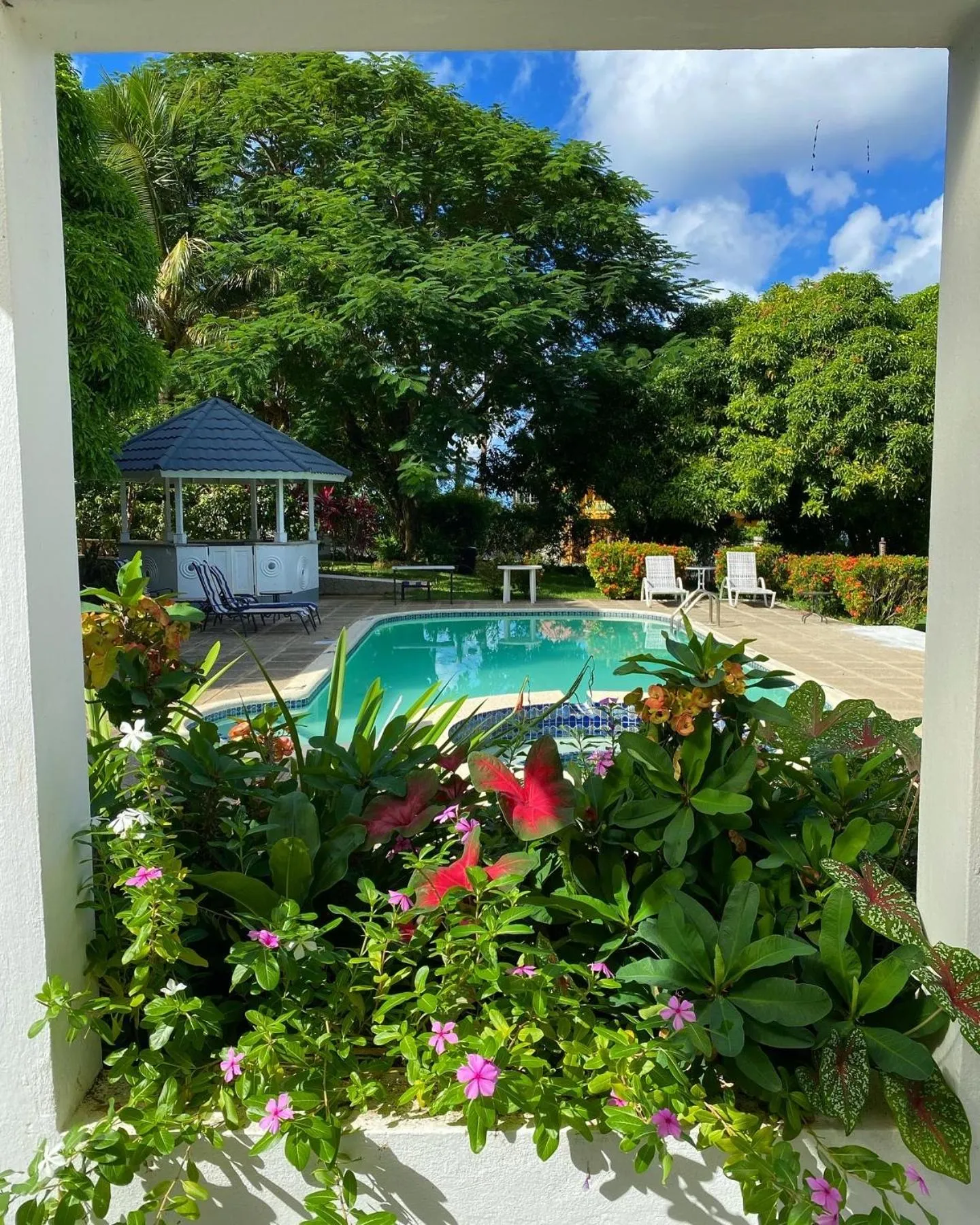 Garden view in All Nations Guest House