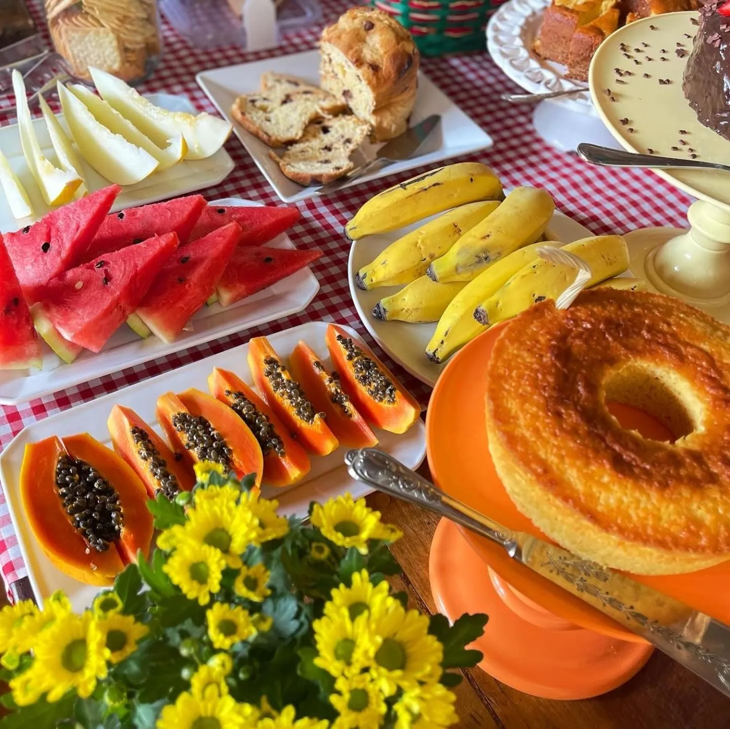 Food and drinks in Pousada Parque da Mata