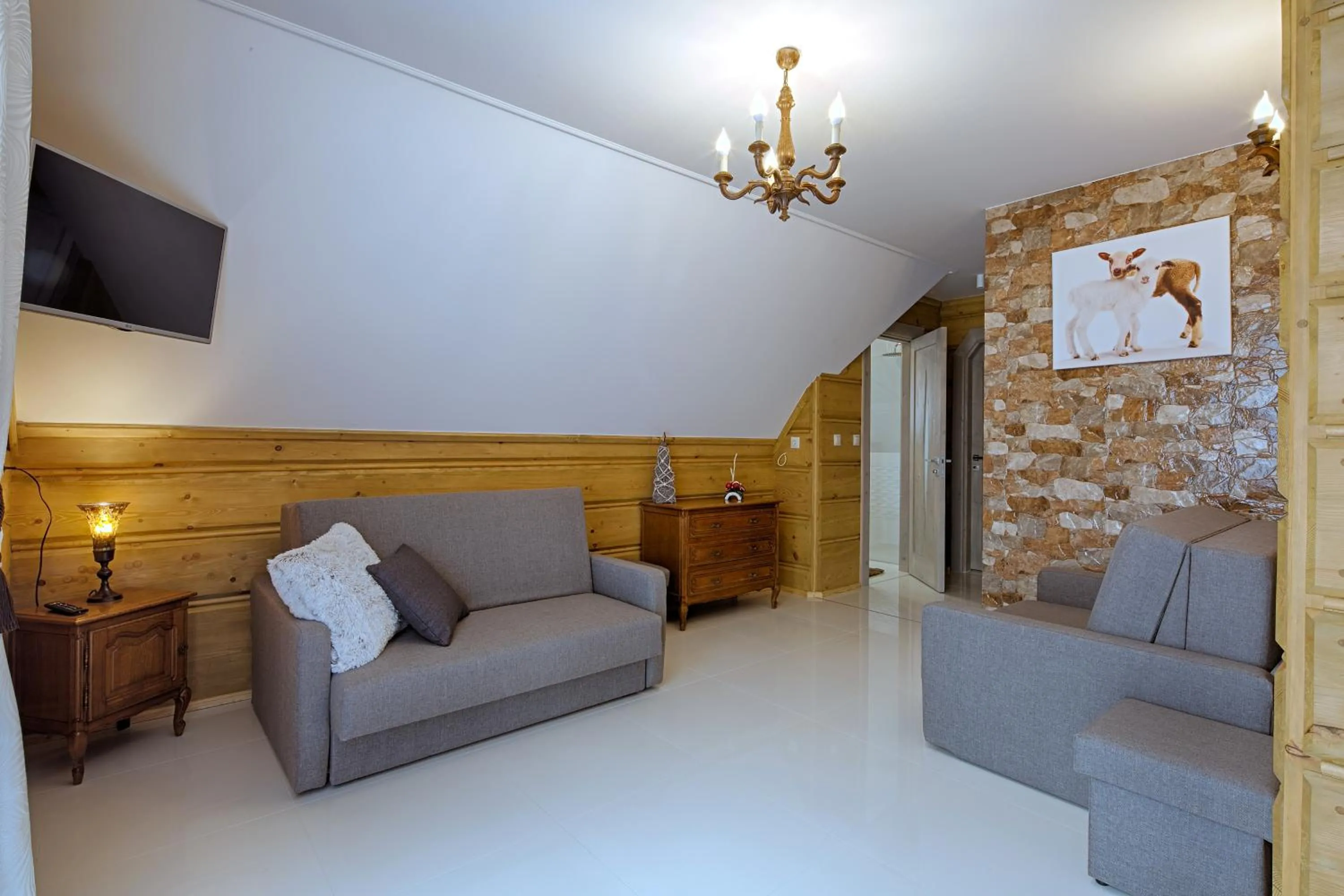 TV and multimedia in Gordonówka Residence & SPA- sauna i jacuzzi-przeżyj niezapomniany pobyt