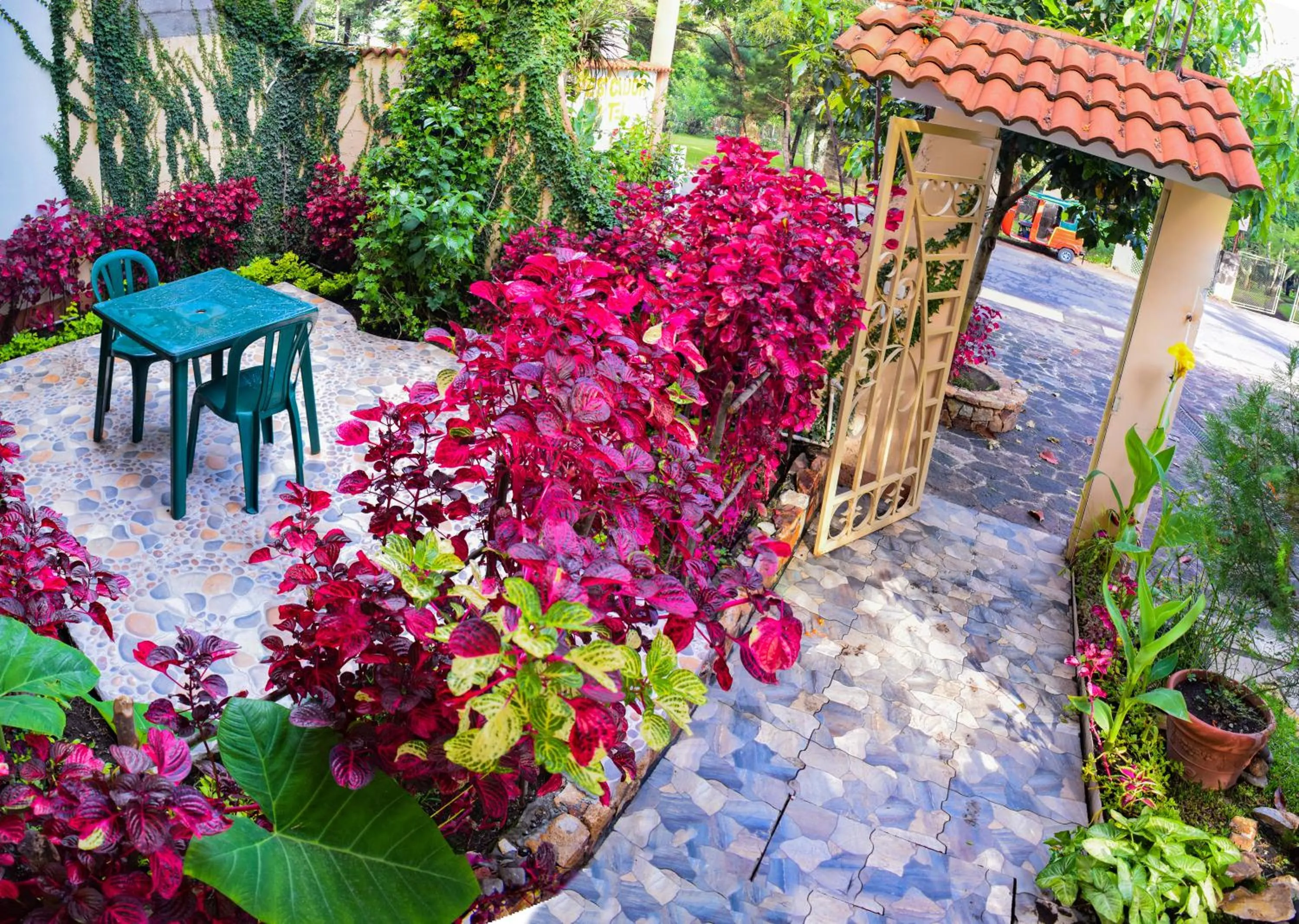 Garden in Pescador Hotel PH