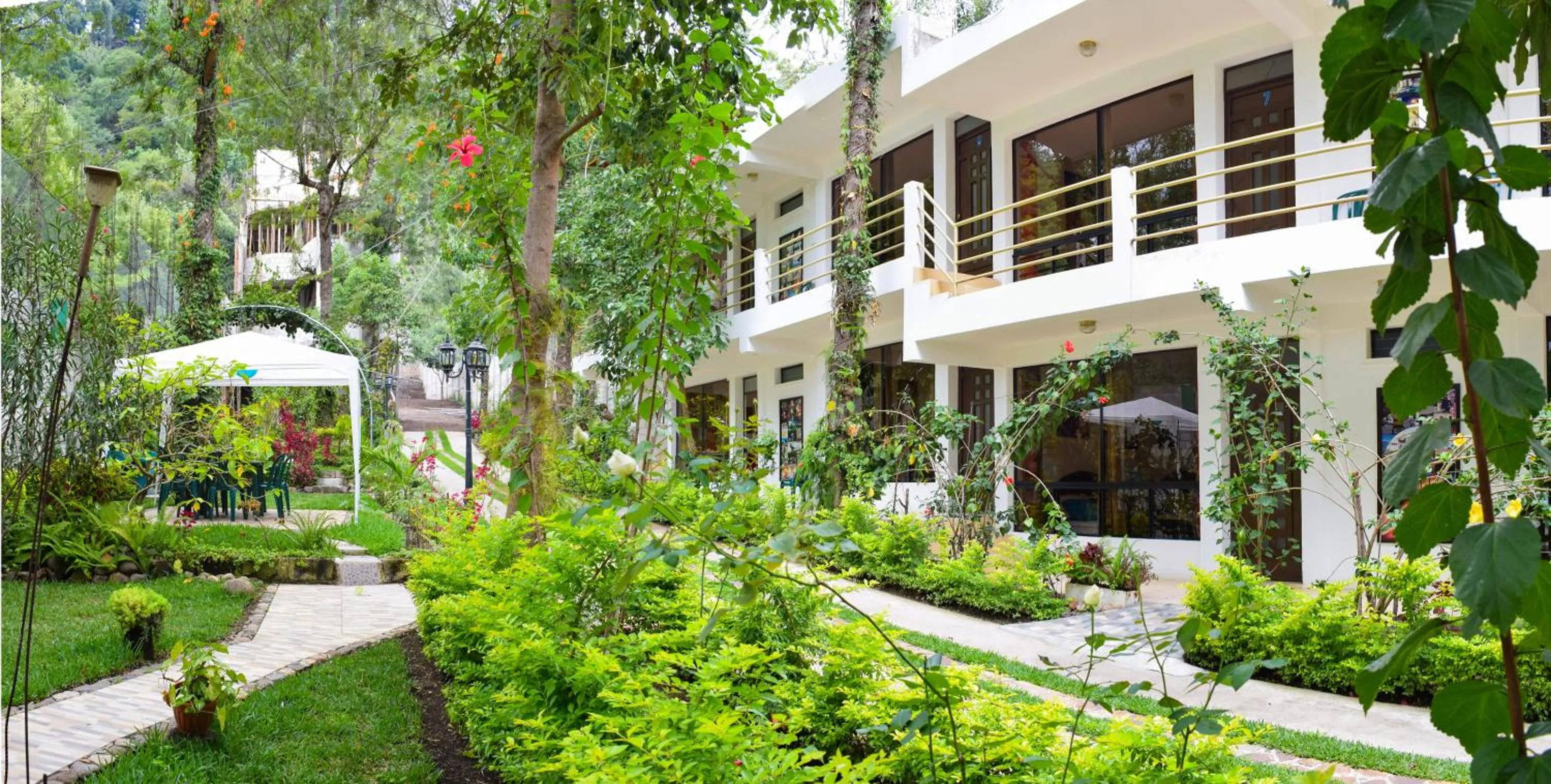 Activities in Pescador Hotel PH