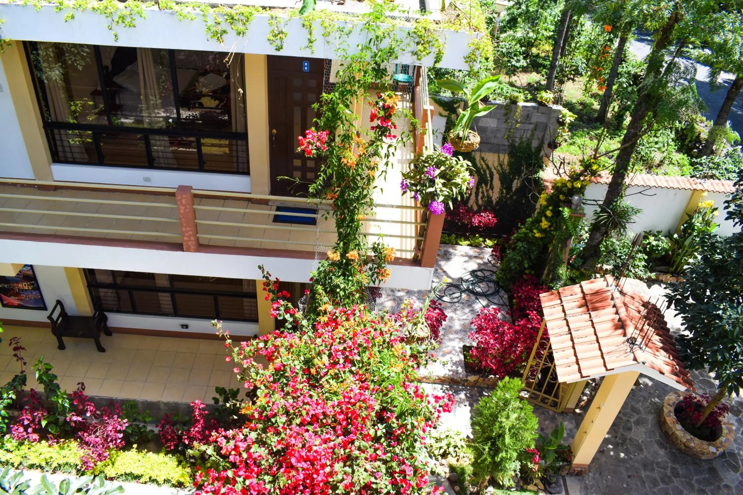 Garden in Pescador Hotel PH