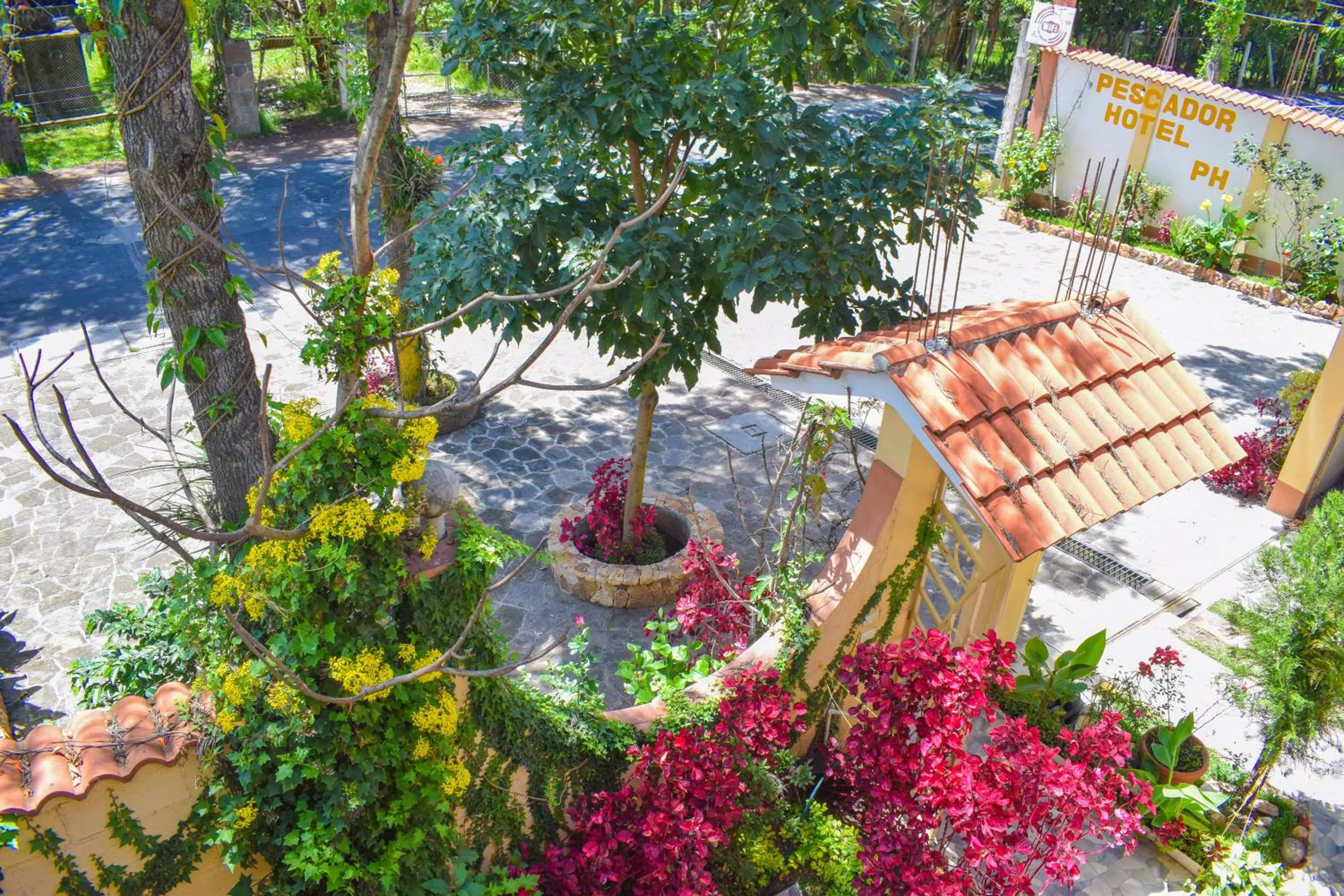 Decorative detail in Pescador Hotel PH