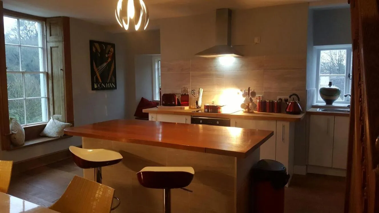 Kitchen or kitchenette in Grigshot Apartment