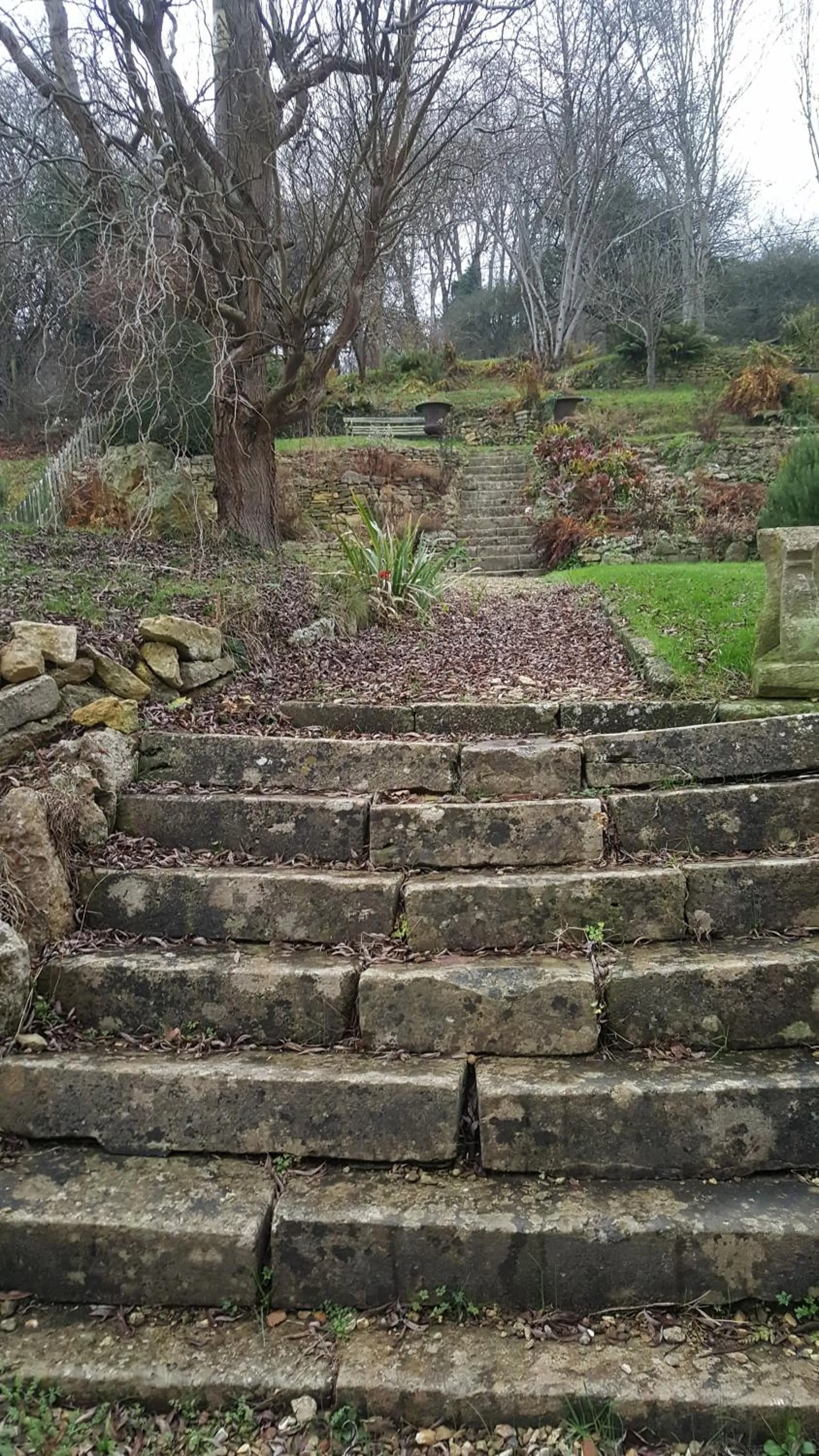 Garden in Grigshot Apartment