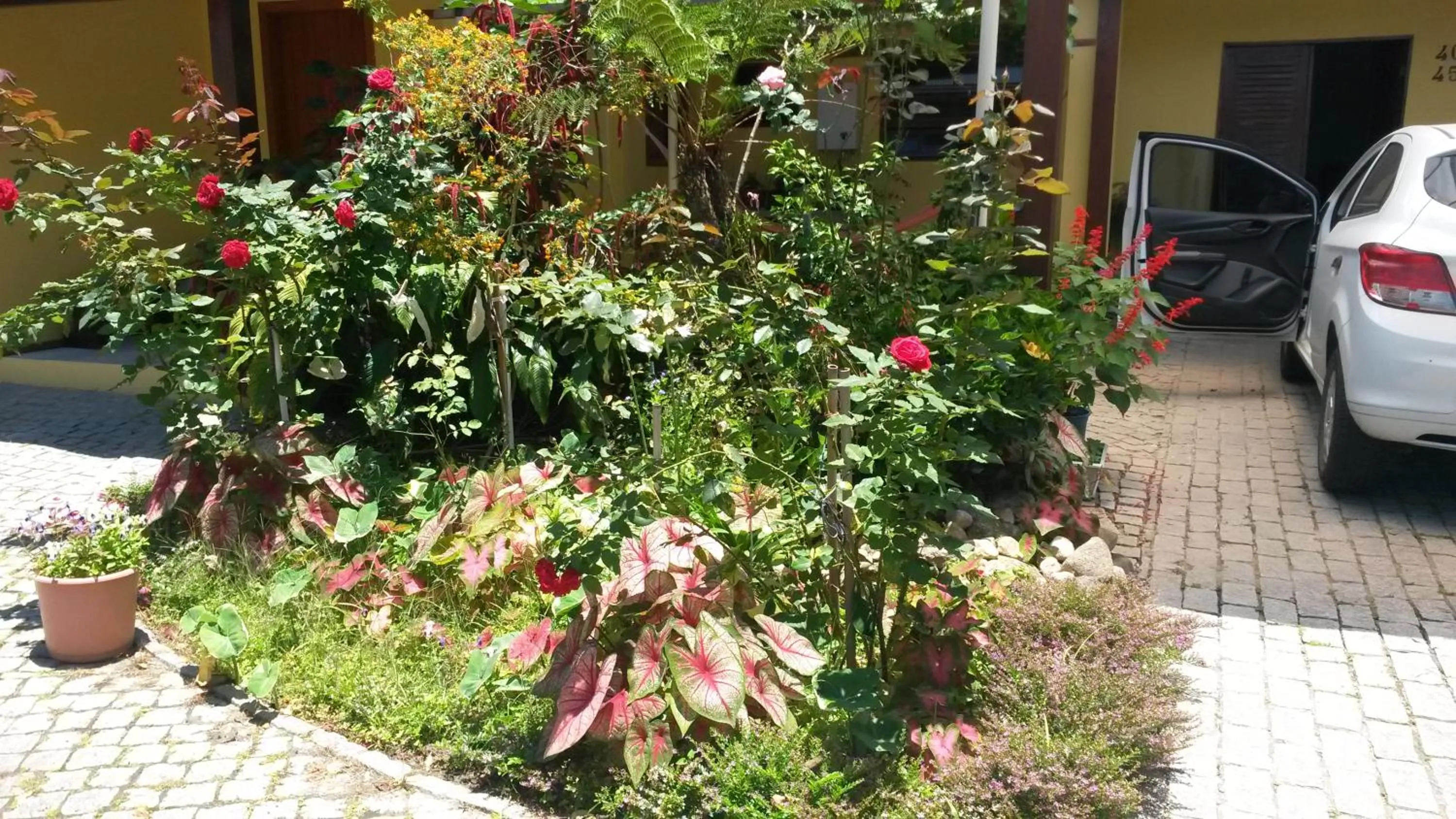 Facade/entrance in Casas na Praia de Bombas - Bombinhas
