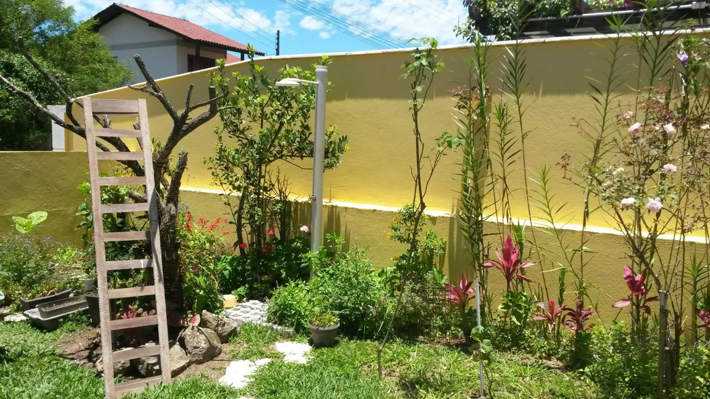 Garden in Casas na Praia de Bombas - Bombinhas