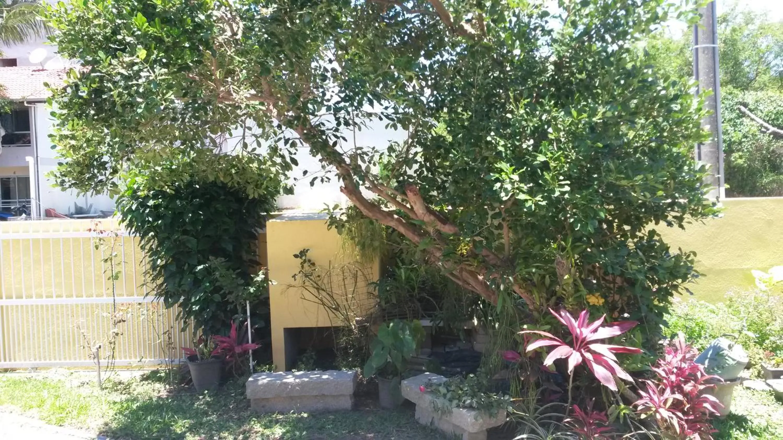 Garden in Casas na Praia de Bombas - Bombinhas