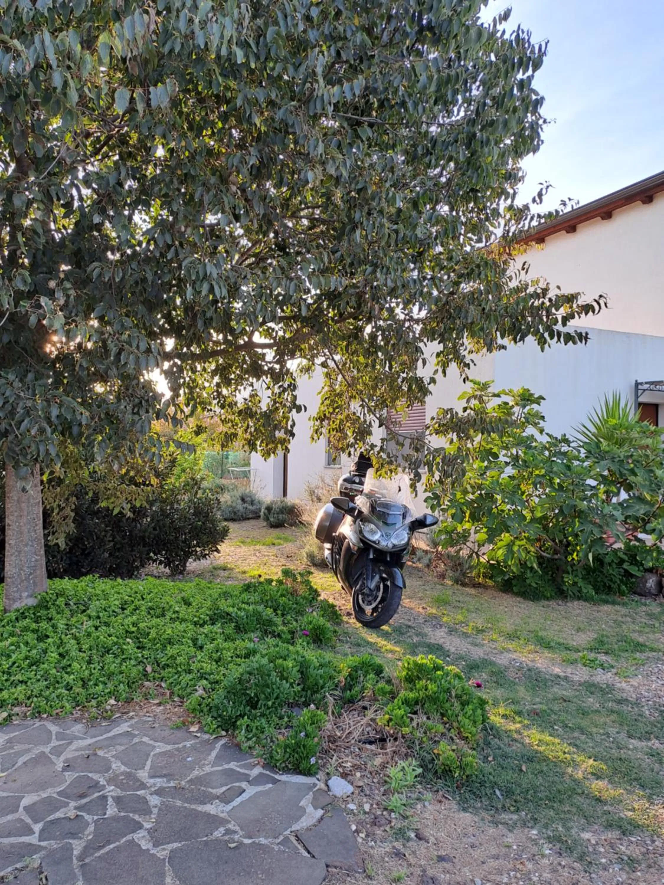 Alma Bed & Breakfast