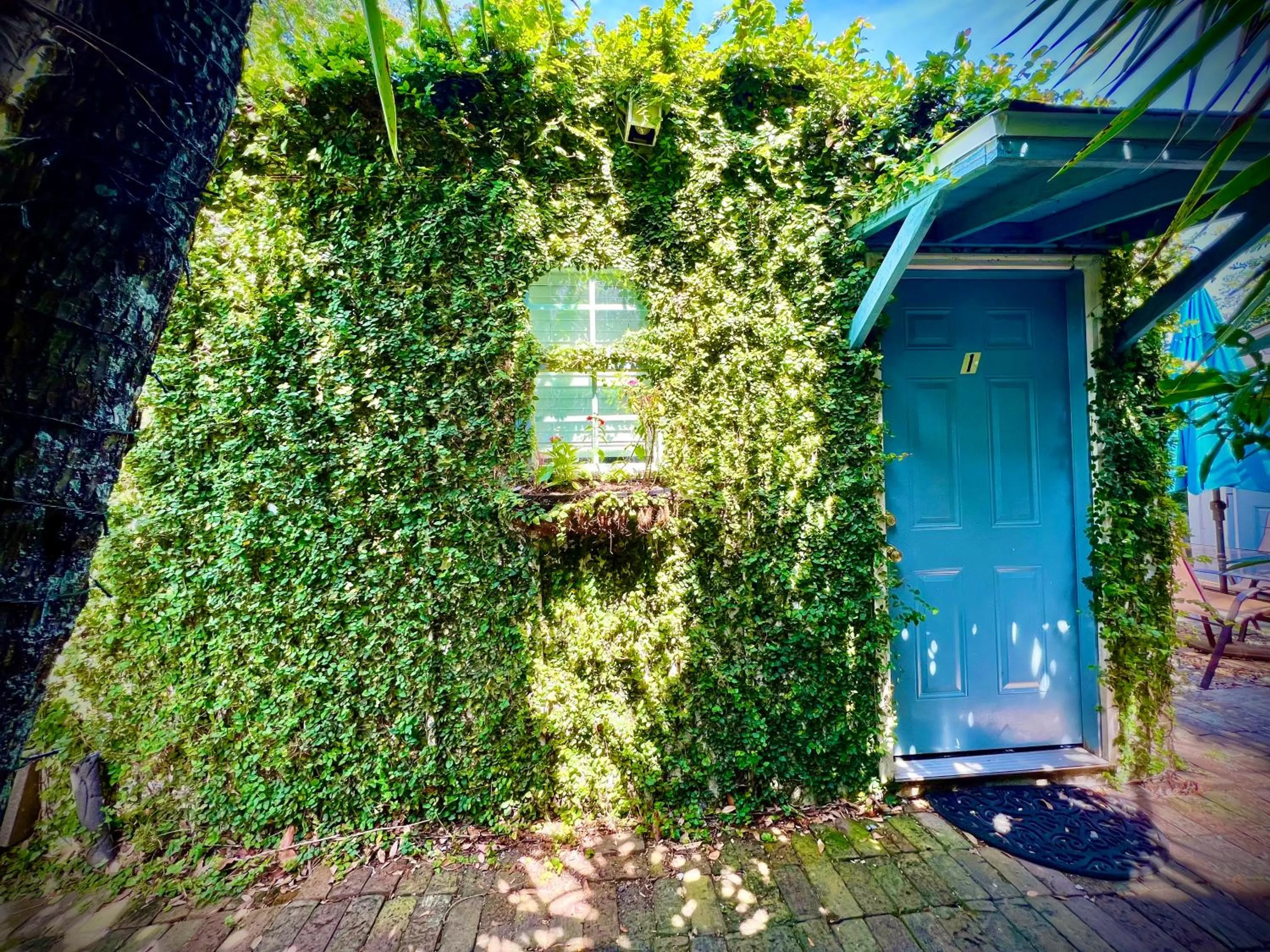 Garden view in Studio Apartment Antonine