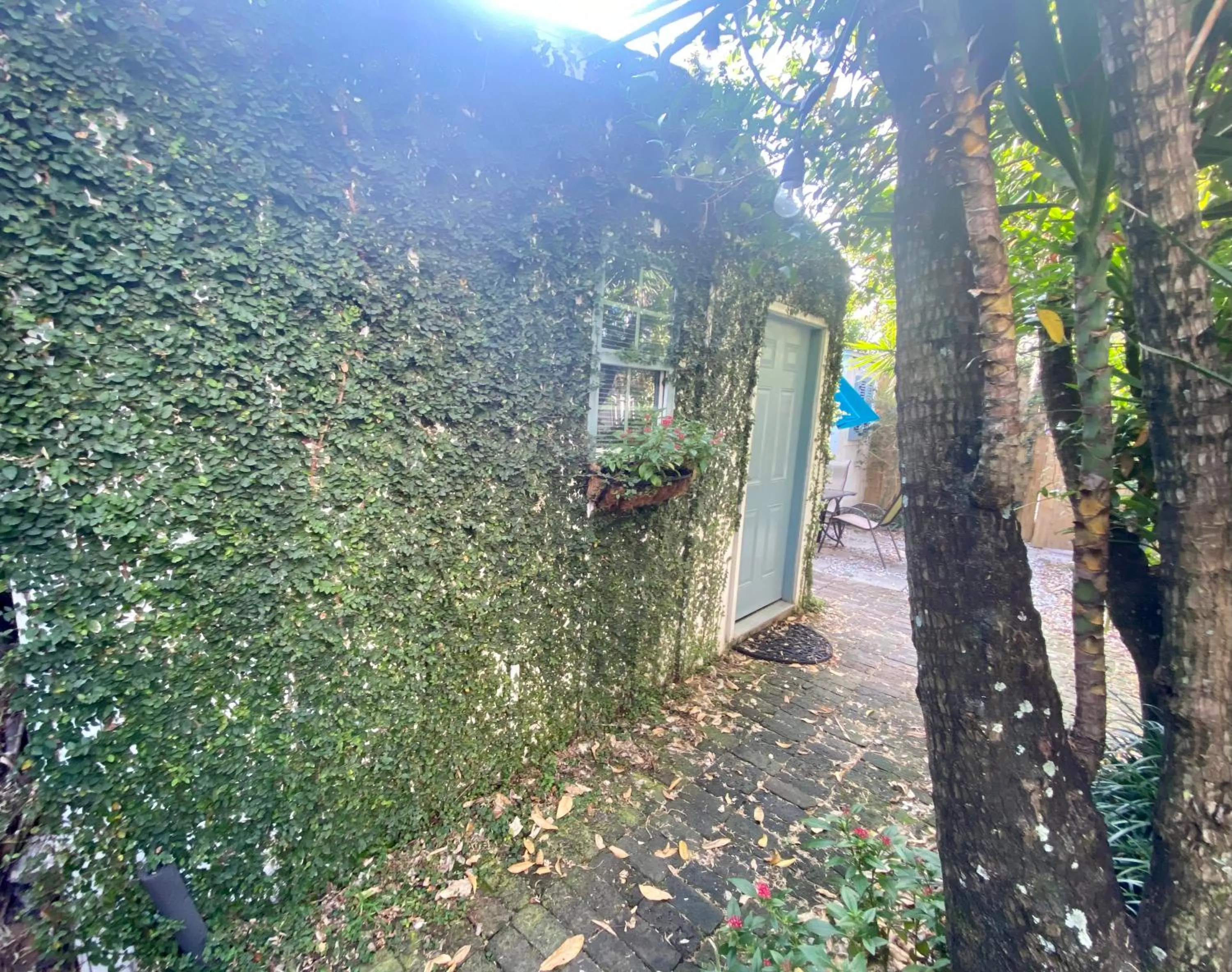 Garden in Studio Apartment Antonine