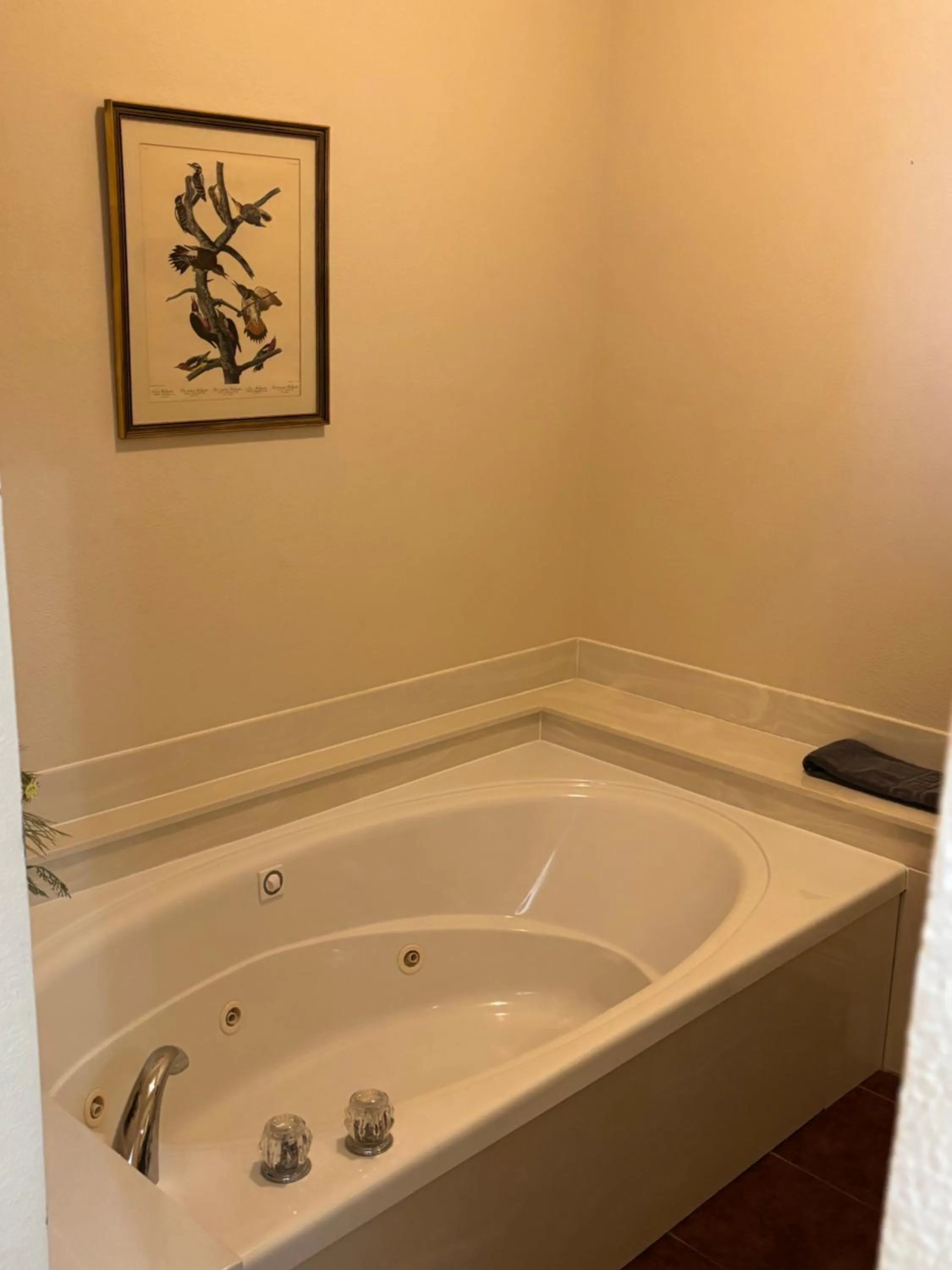 Bathroom in Hermann Crown Suites