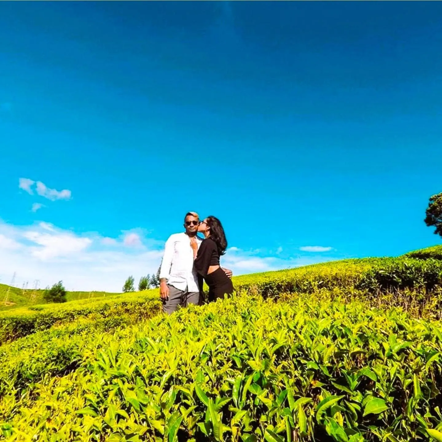 Area and facilities in The Tea Garden