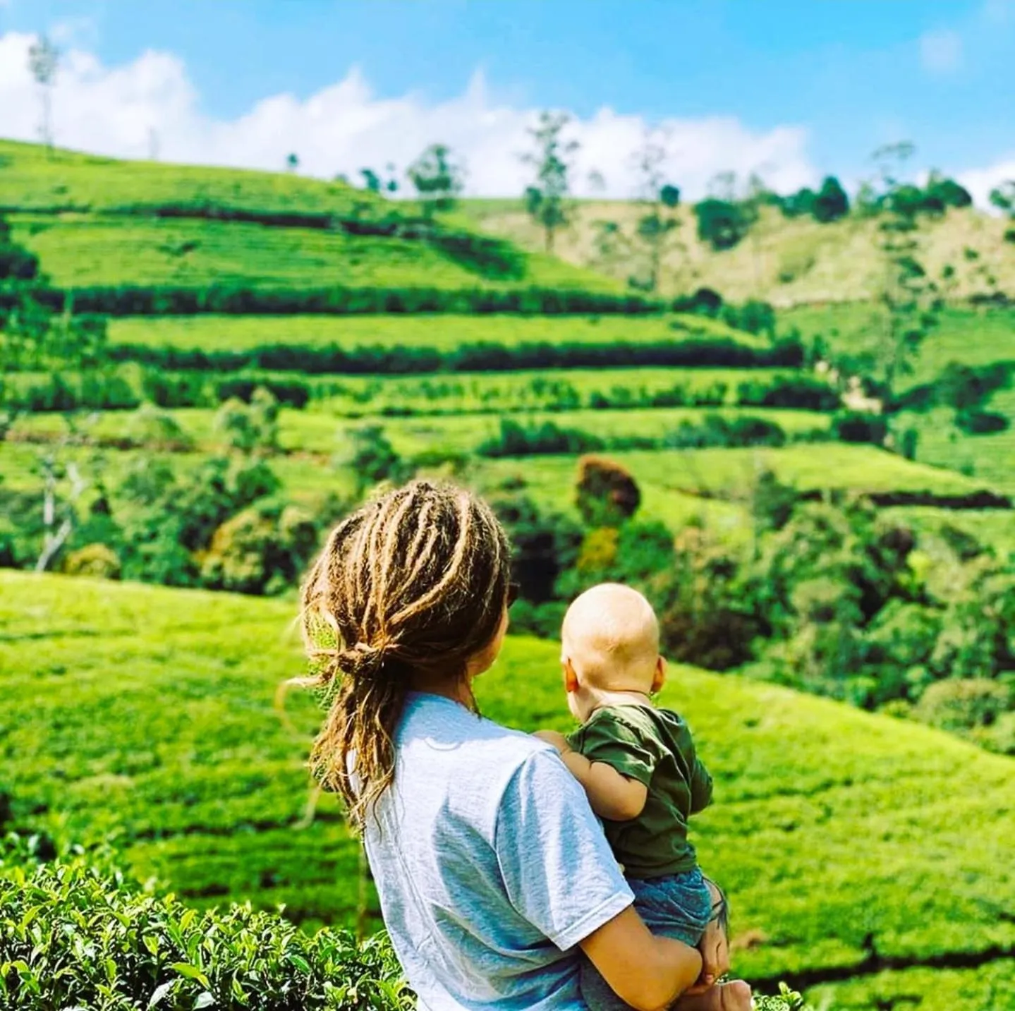 Natural landscape in The Tea Garden