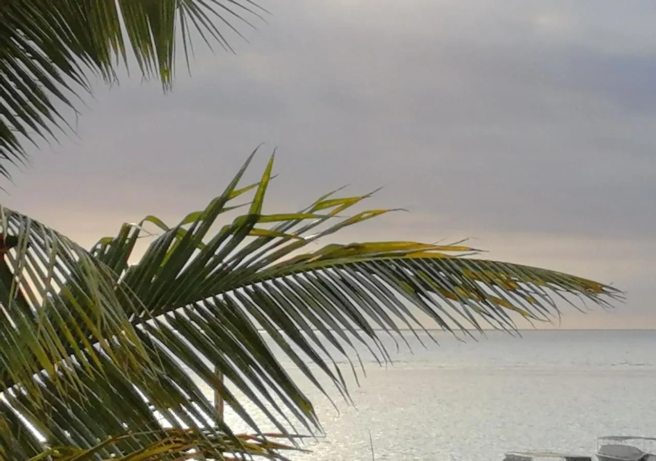 Sea view in Easy Stay Residence