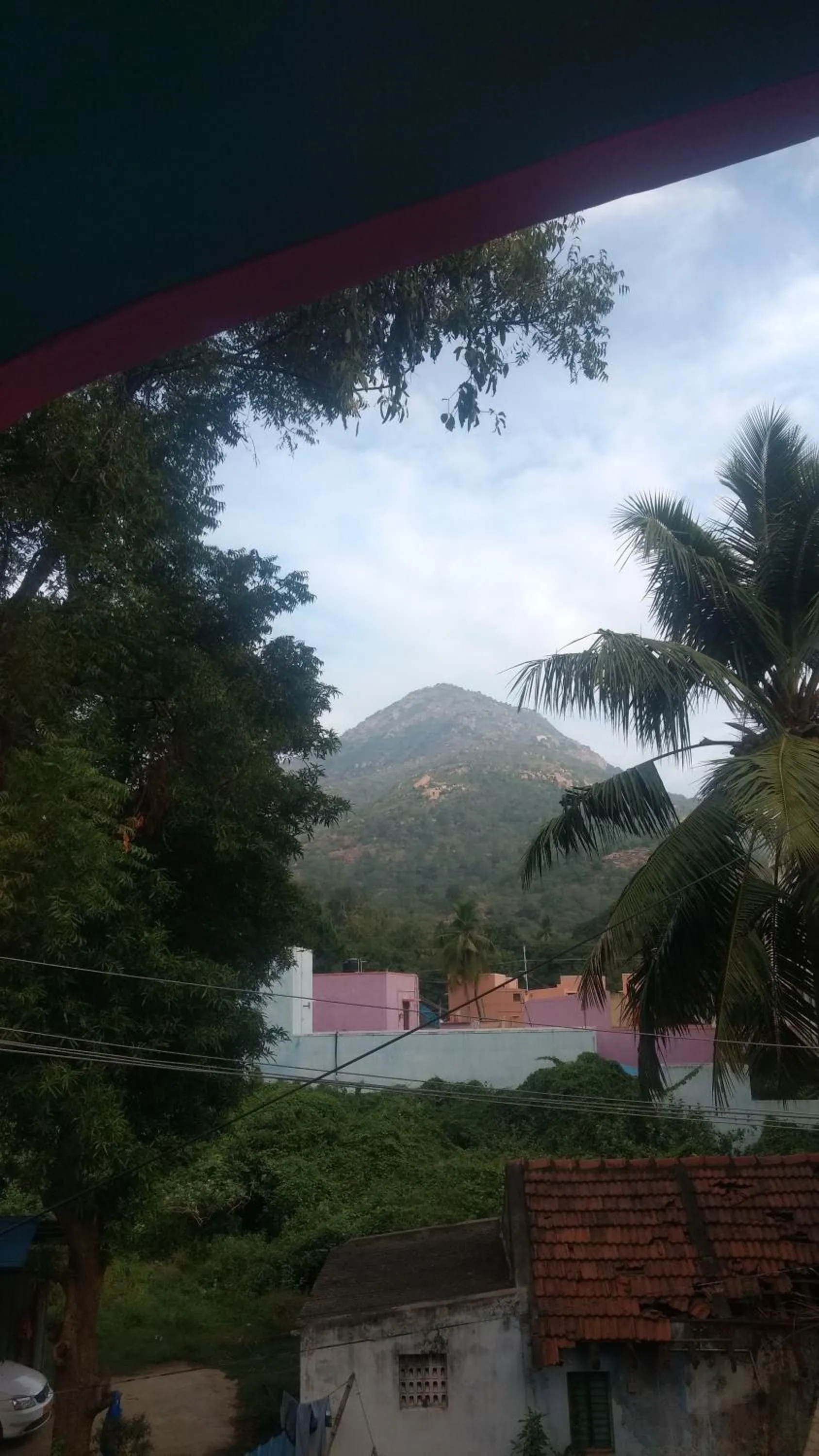 Bird's eye view in Vijaya Guest House