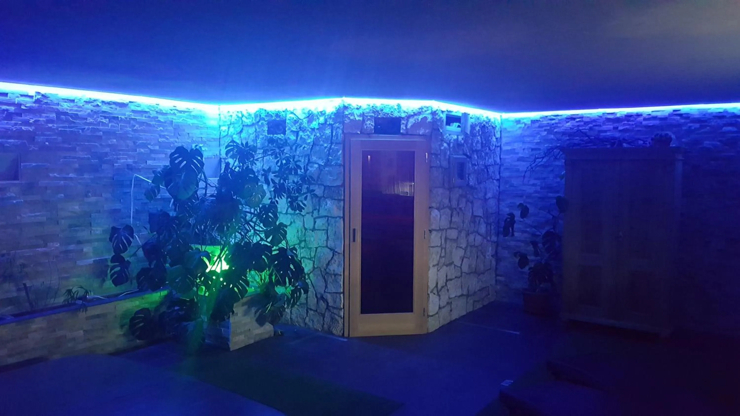 Sauna in XL Appartements Steinhaus