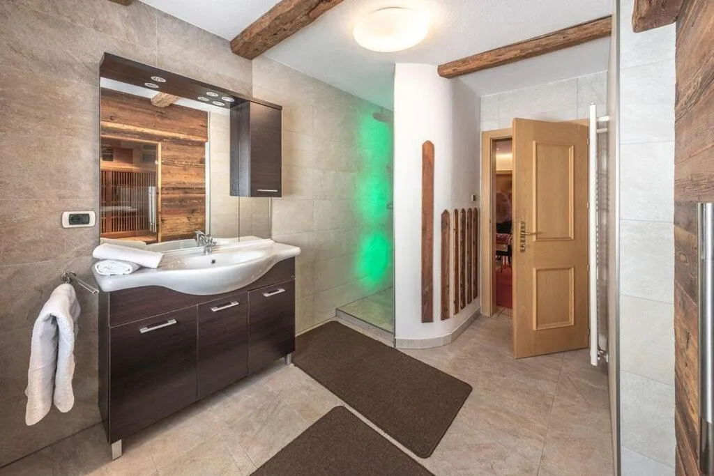 Shower in XL Appartements Steinhaus