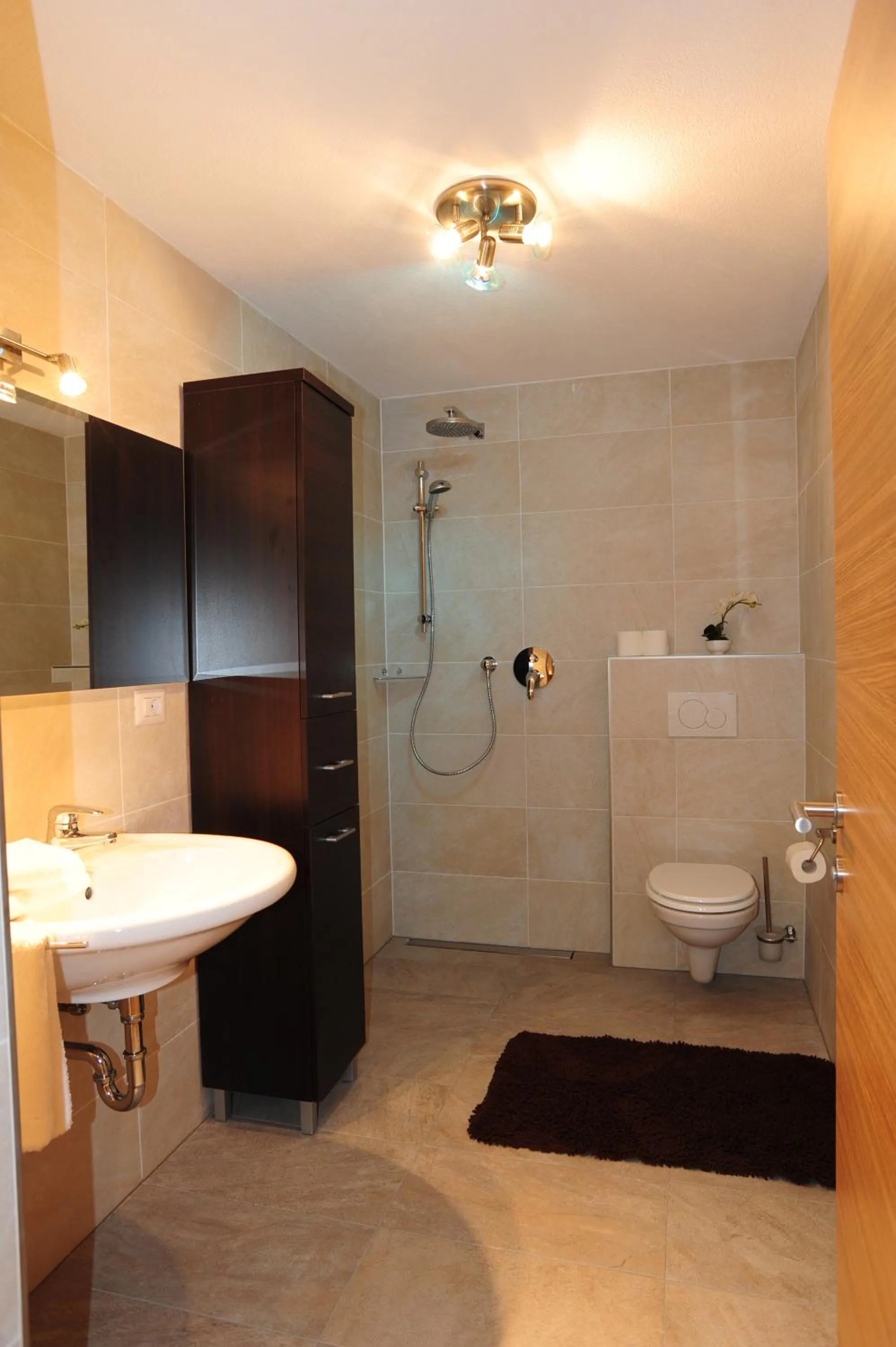 Shower in XL Appartements Steinhaus