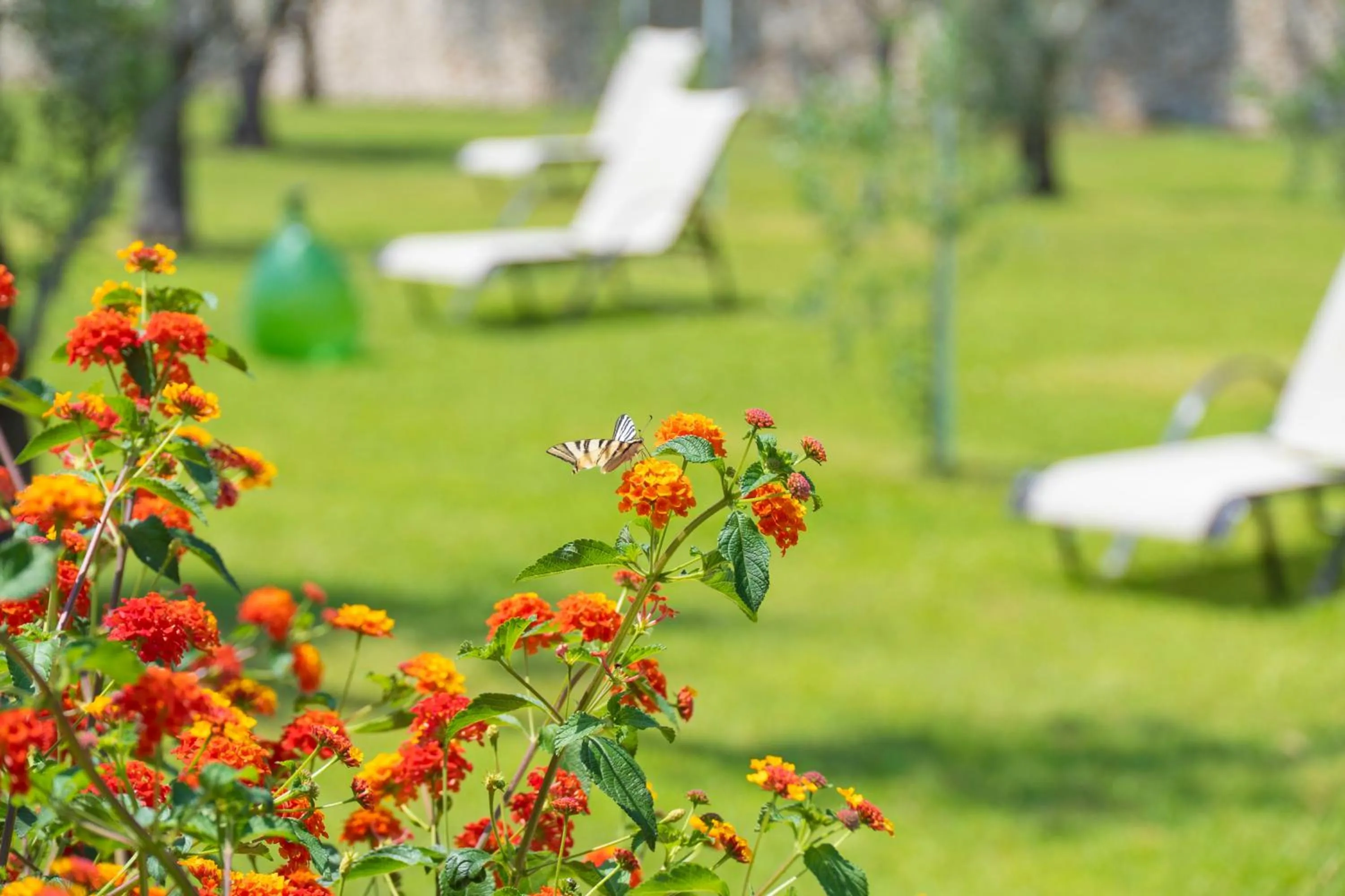 Agriturismo Scalelle