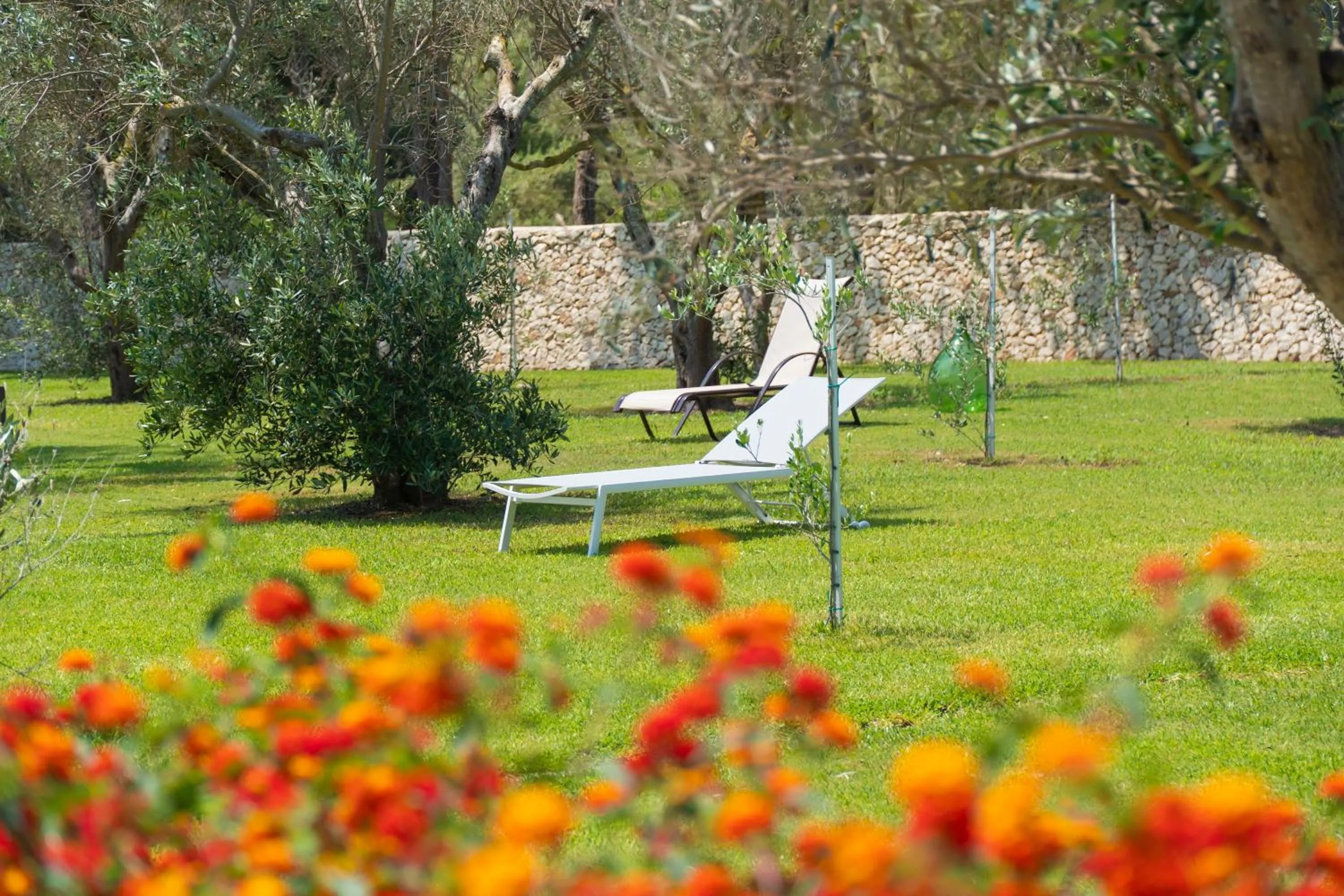 Natural landscape in Agriturismo Scalelle