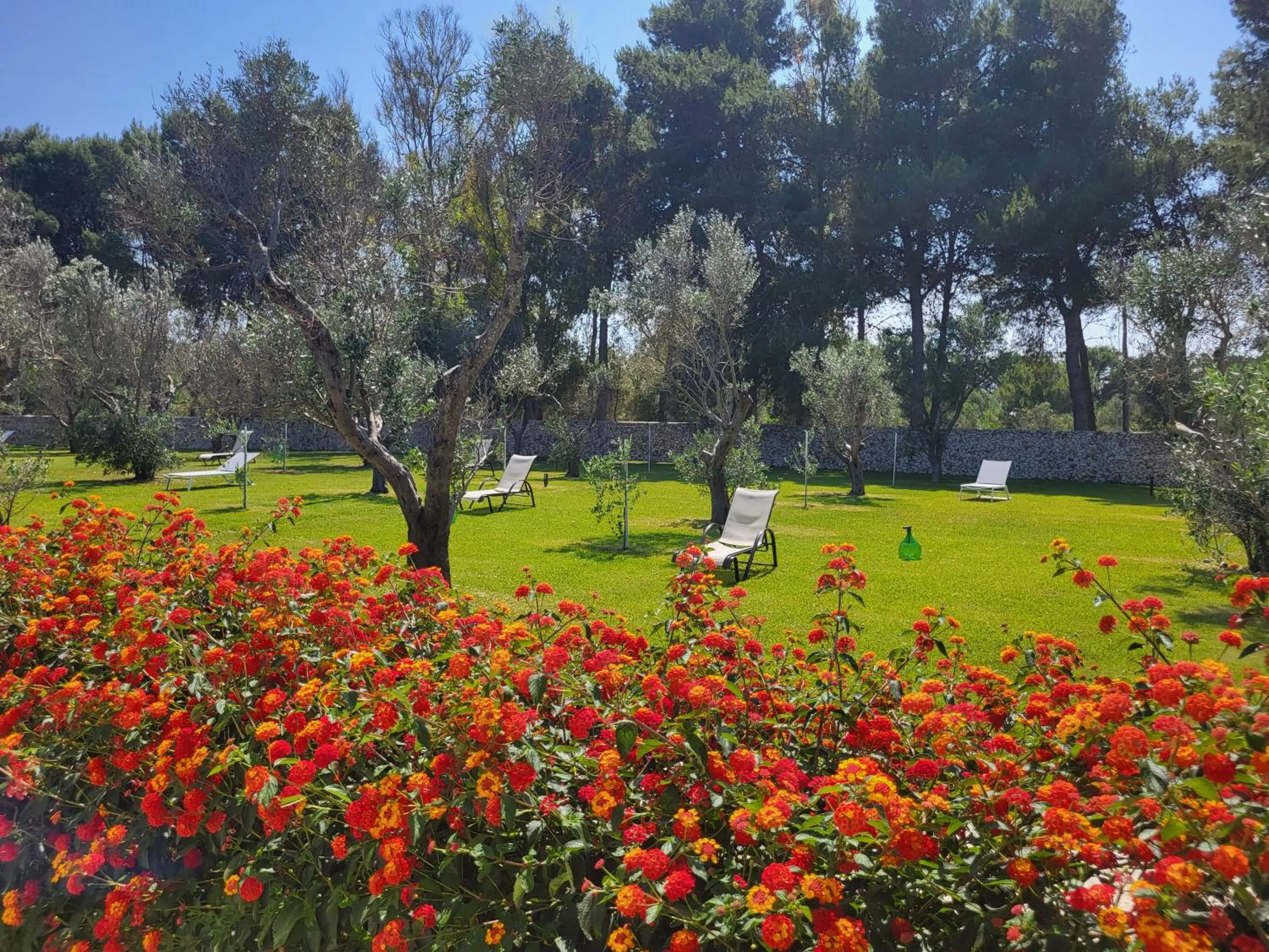 Garden in Agriturismo Scalelle