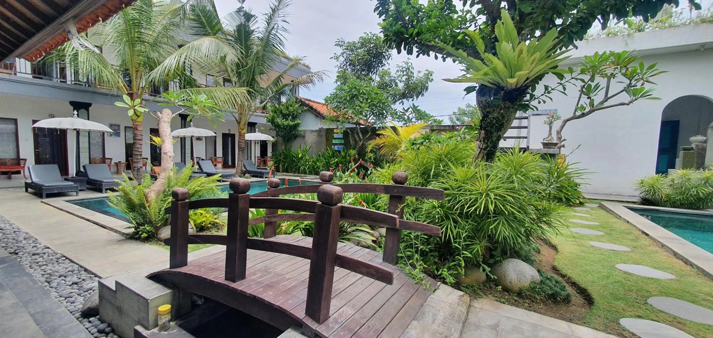 Garden view in Surf Lodge Canggu
