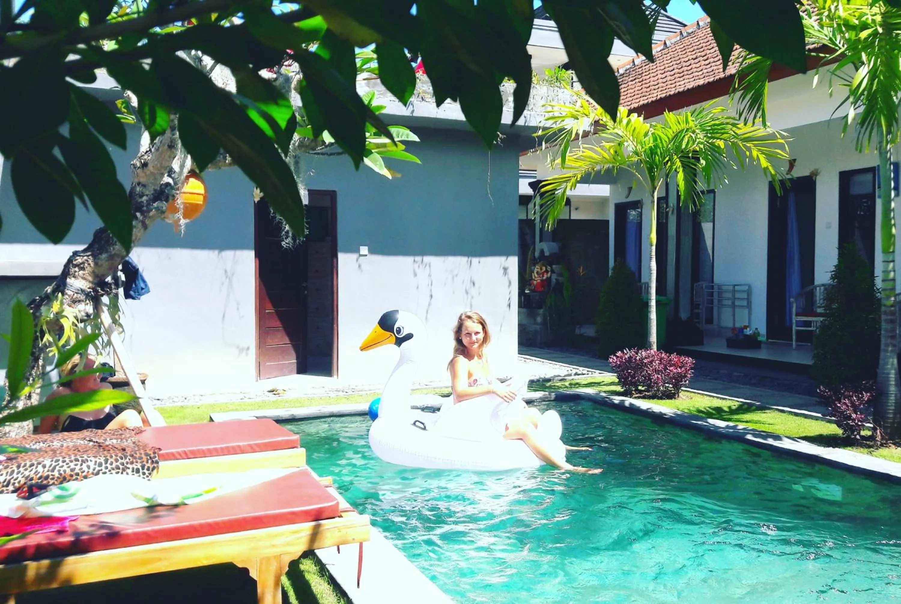 Swimming pool in Surf Lodge Canggu