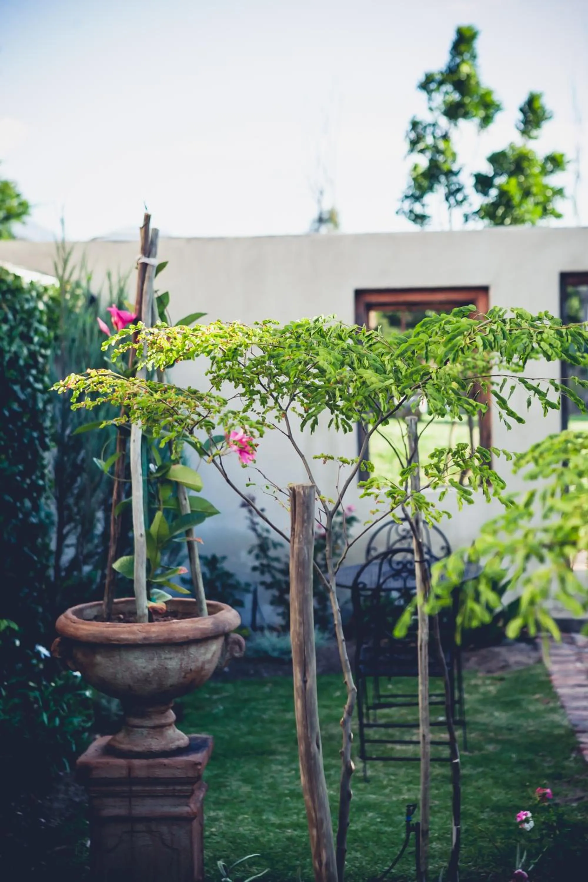 Garden in Station House Simondium