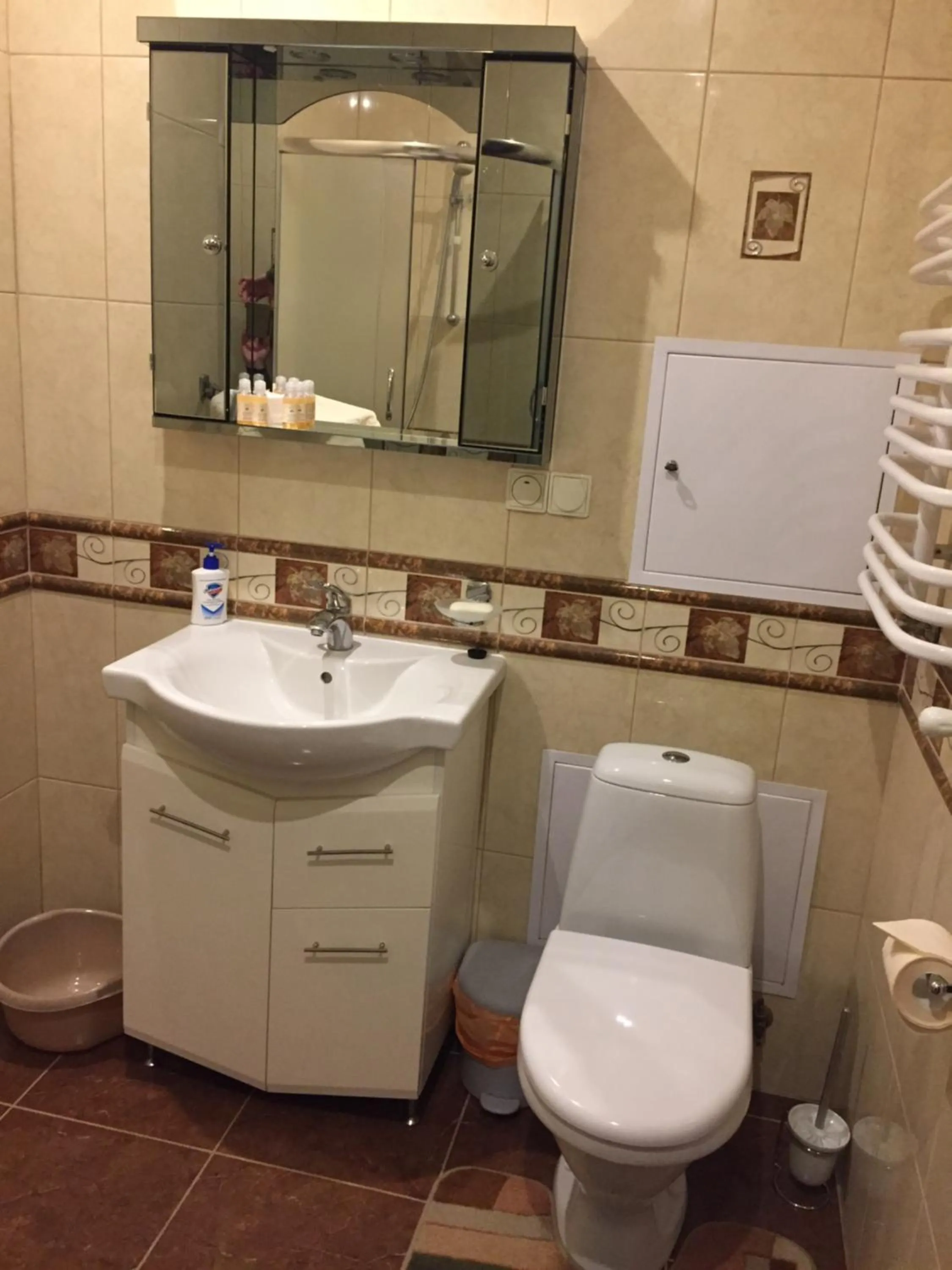 Toilet in Apartment Miskevycha