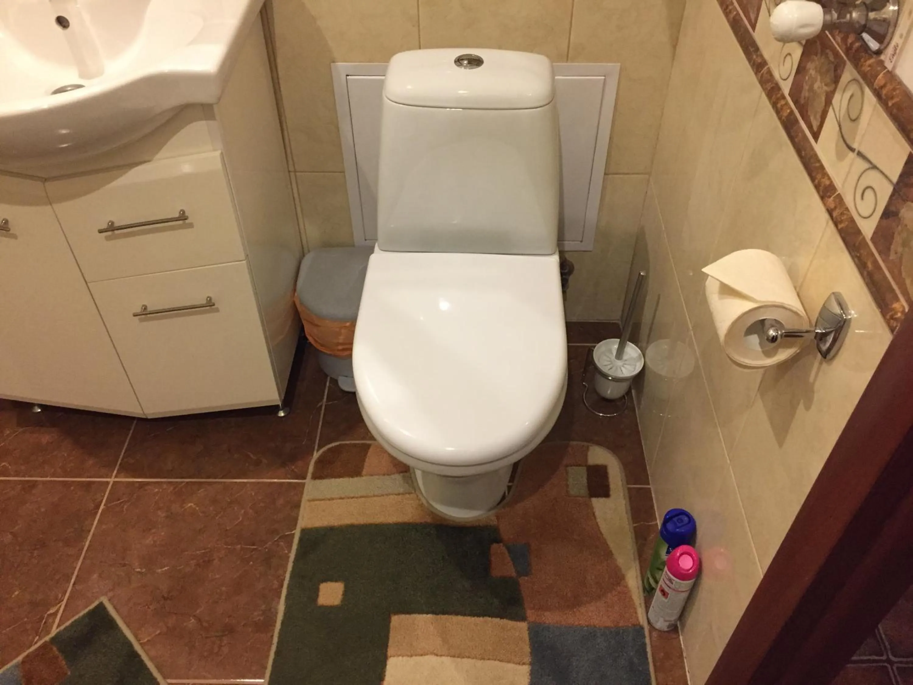 Toilet in Apartment Miskevycha
