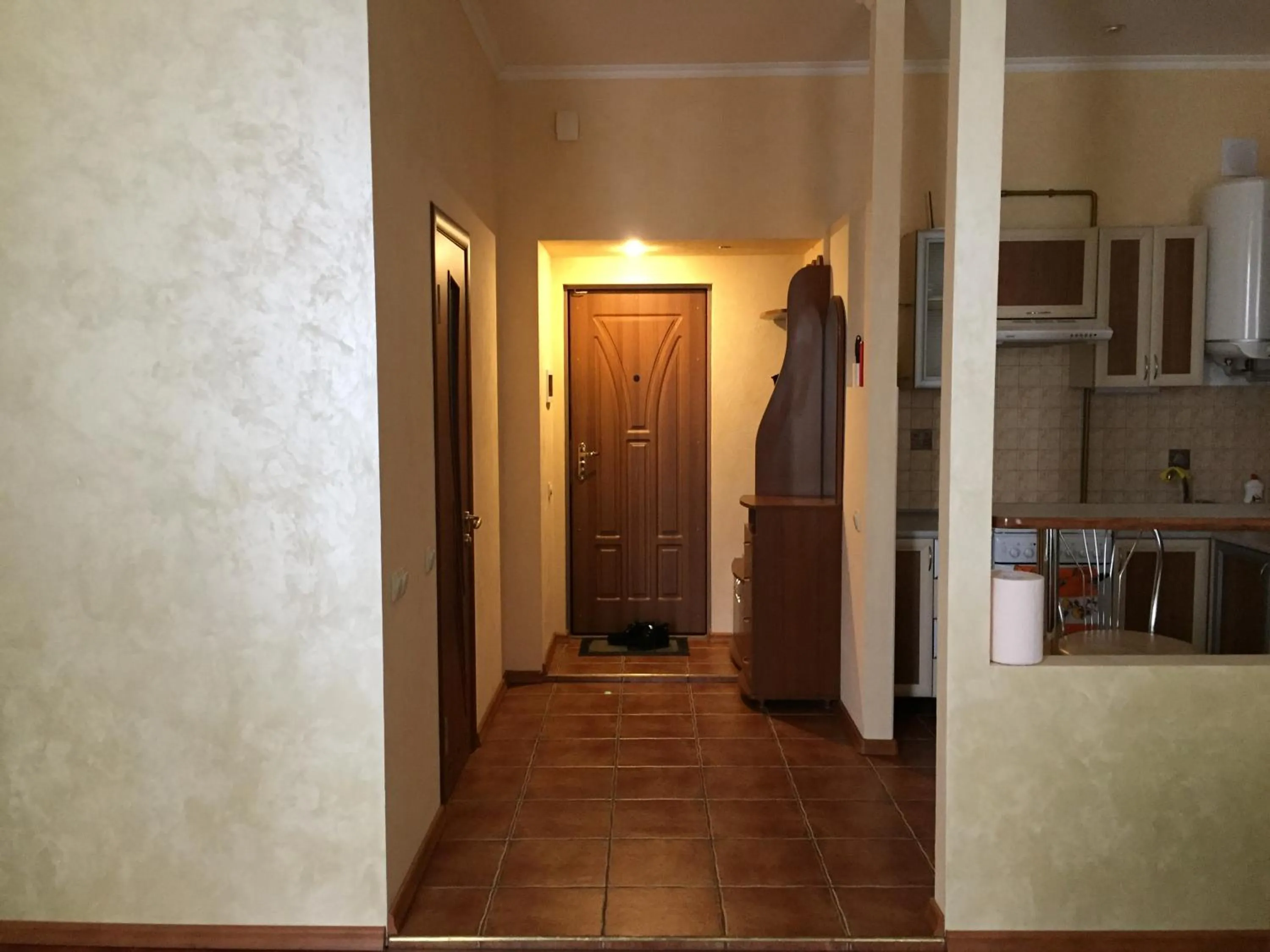 Area and facilities in Apartment Miskevycha