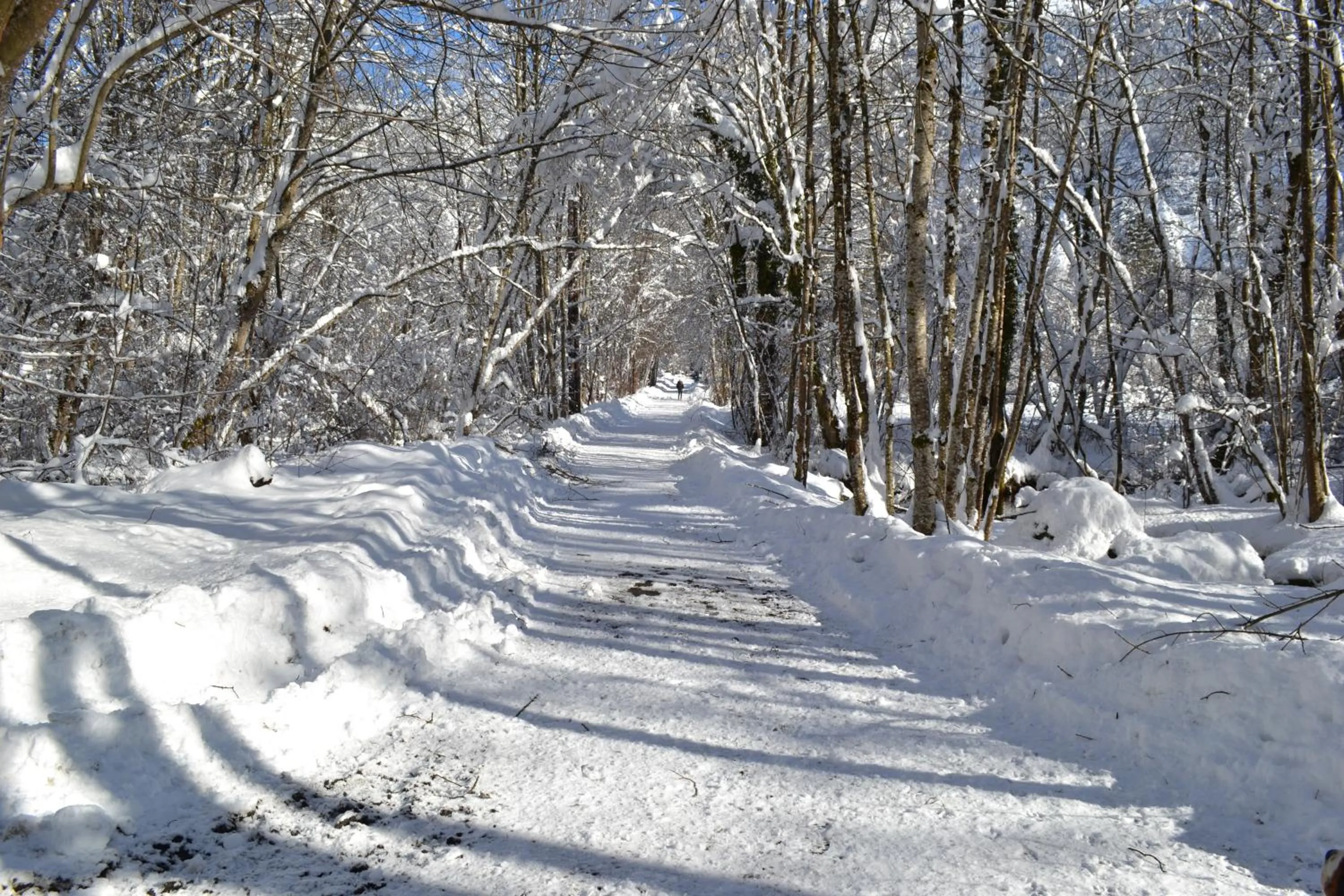 View (from property/room) in La Clé des Bois