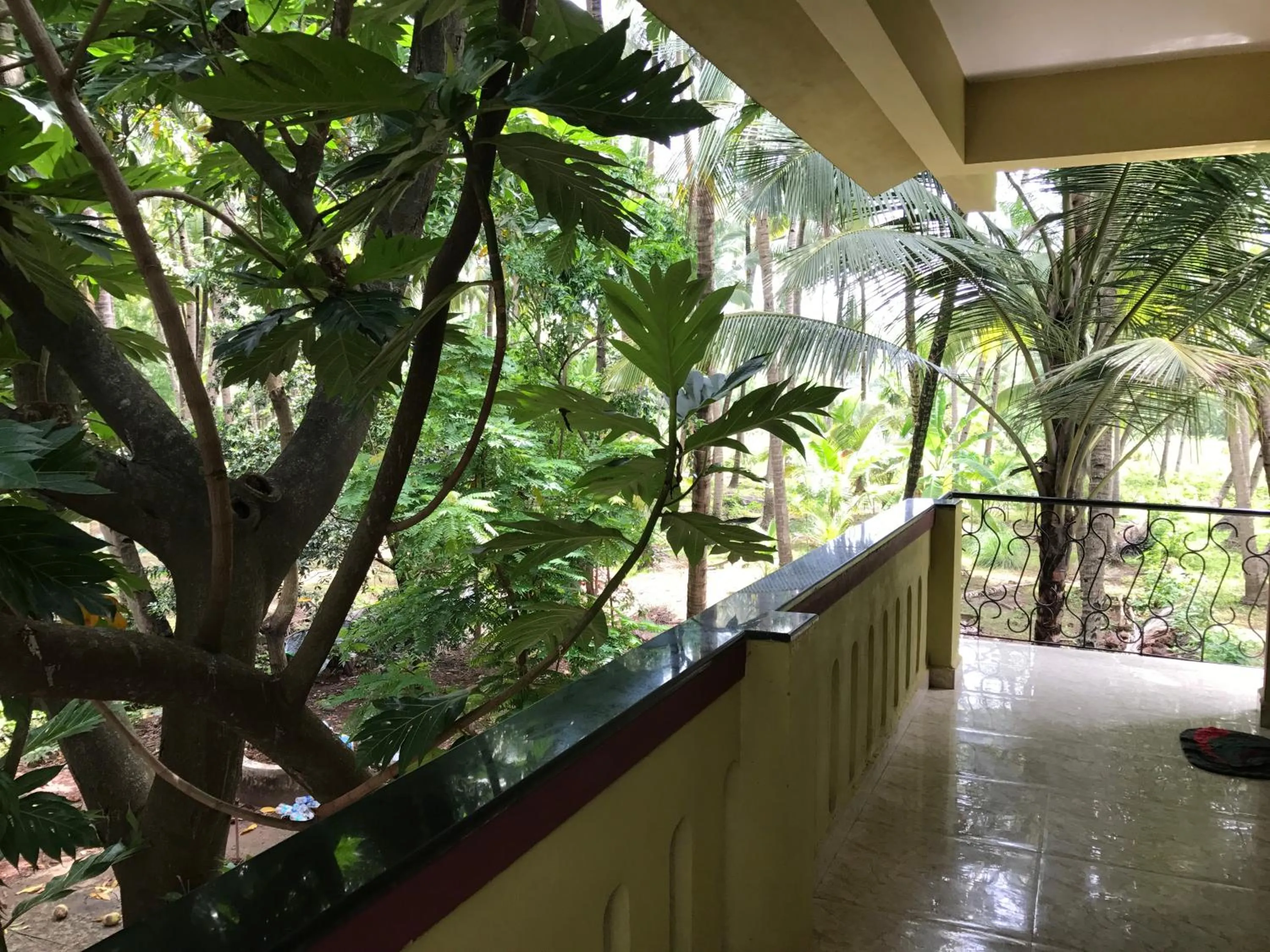 All Seasons Guest House