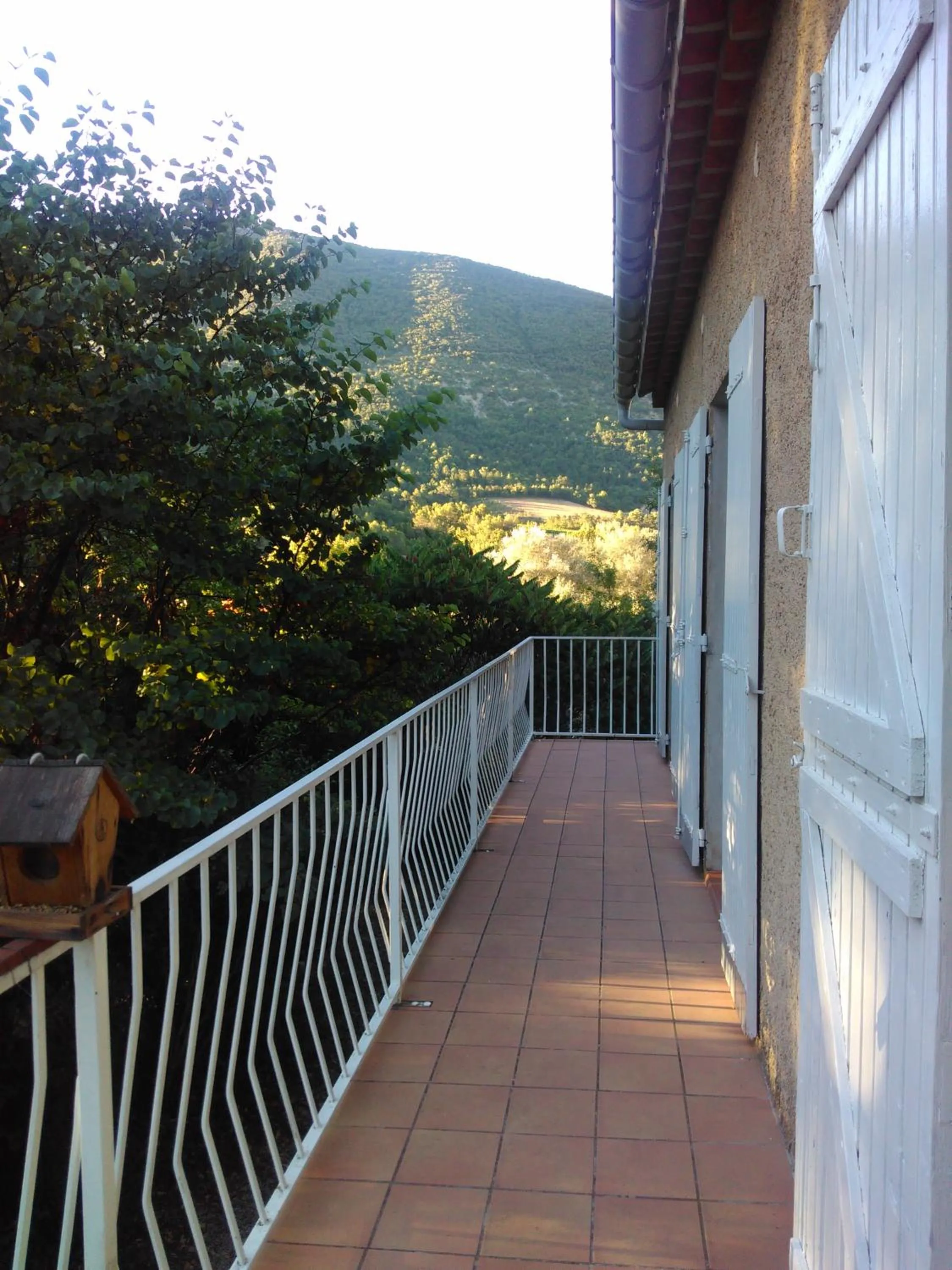 La clairière