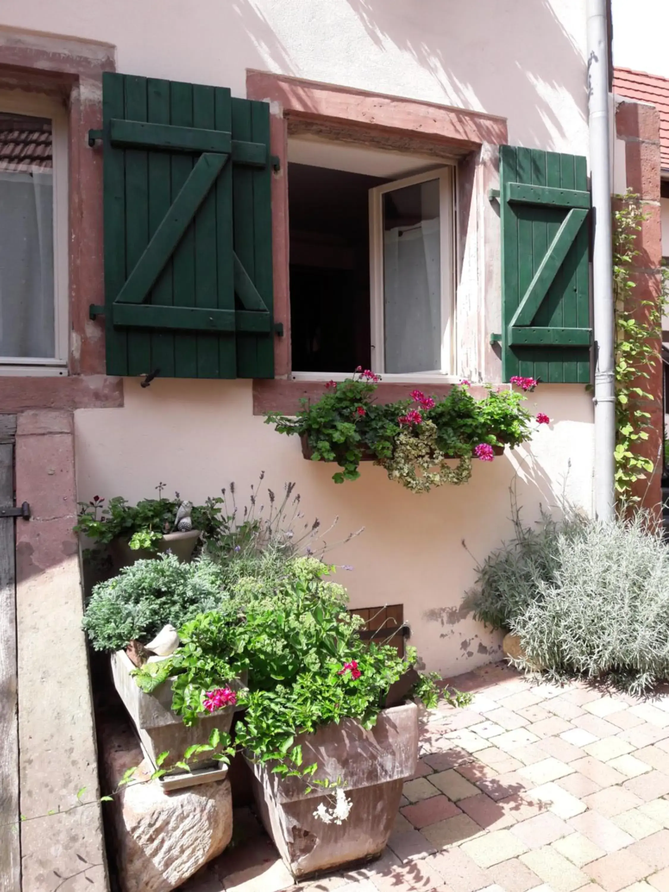 charmant petit appartement en Alsace charmant petit appartement en Alsace