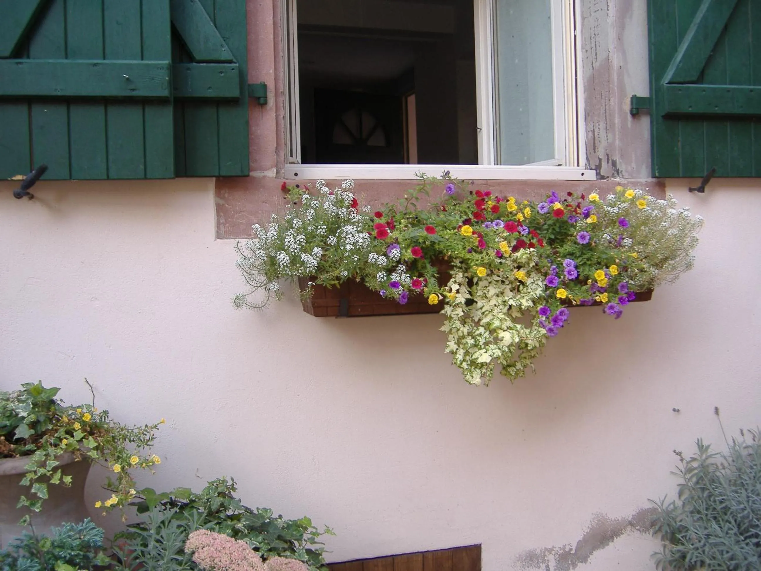 charmant petit appartement en Alsace