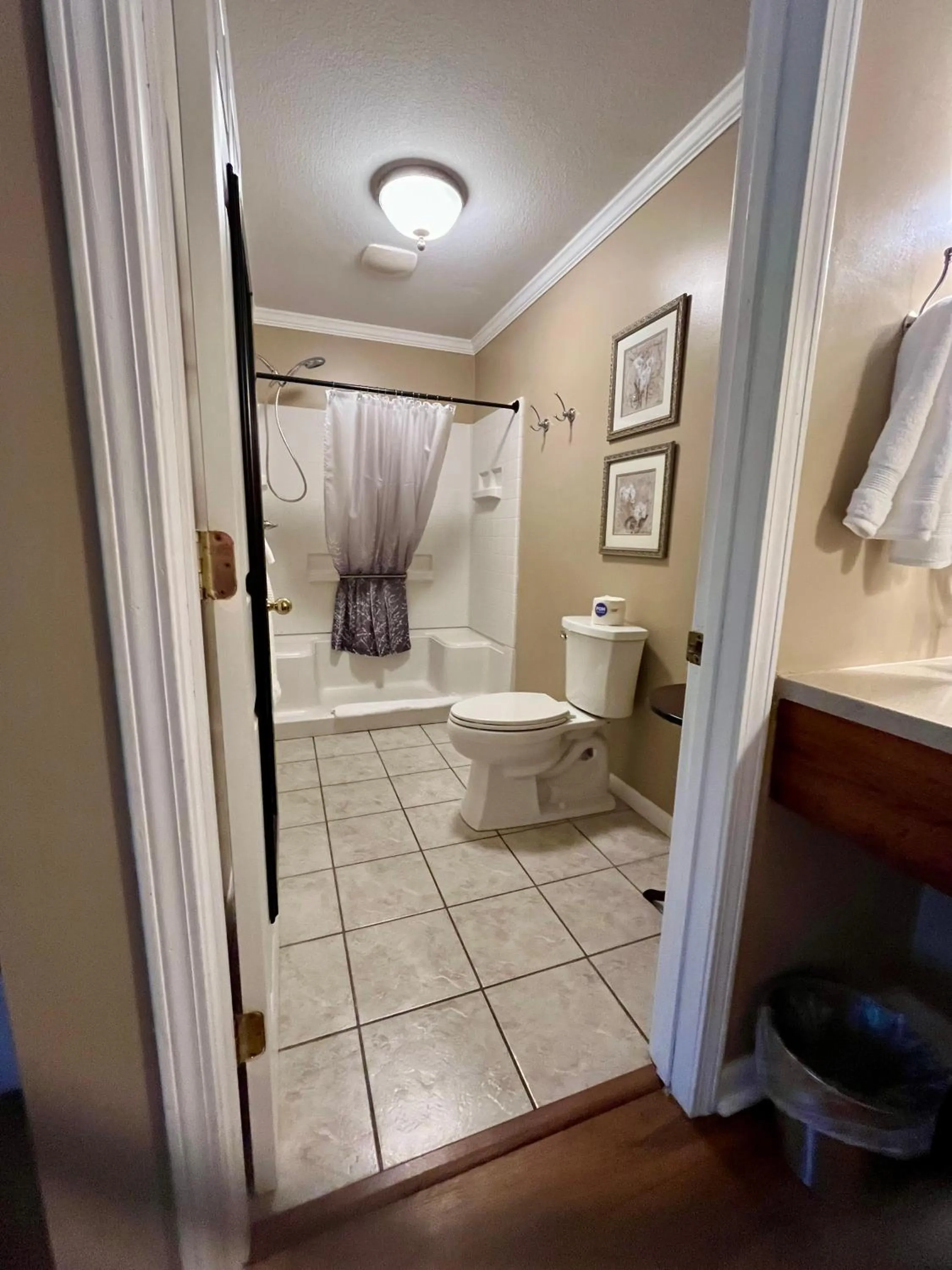 Bathroom in Grafton Lodge