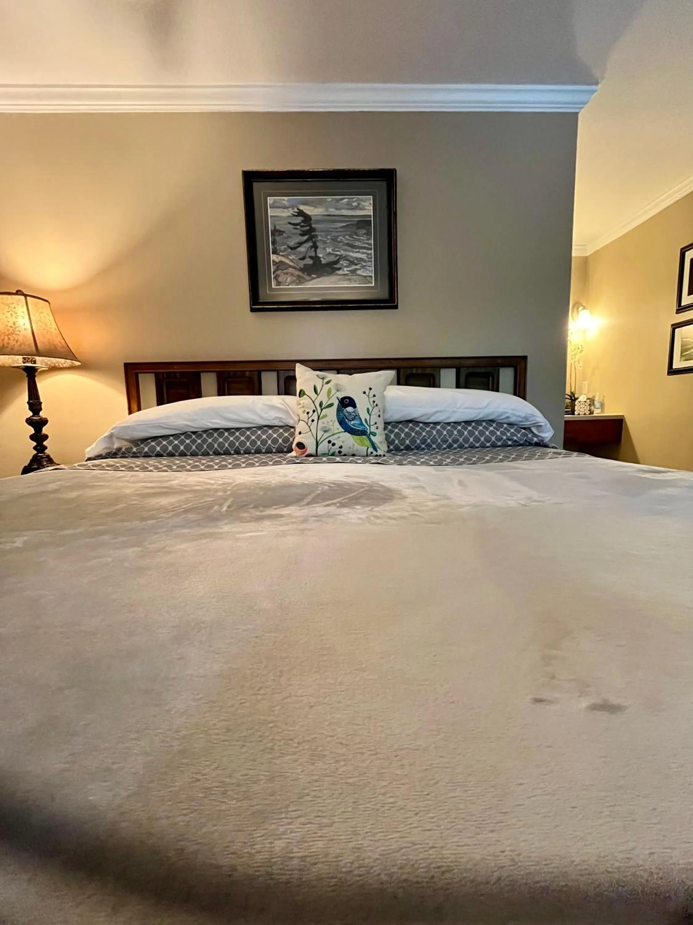 Bed in Grafton Lodge