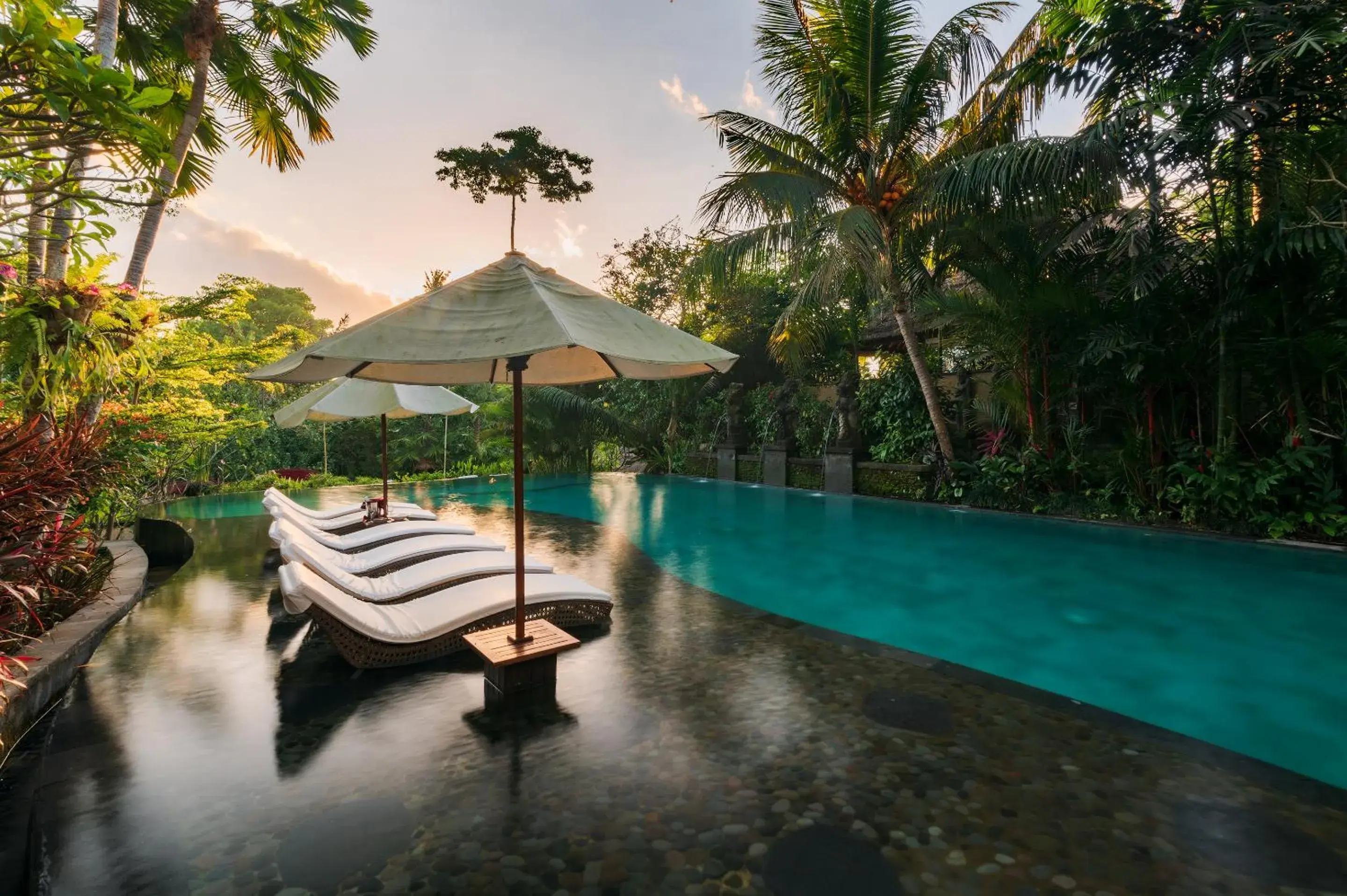 Swimming pool in The Udaya Resorts and Spa Swimming pool in The Udaya Resorts and Spa
