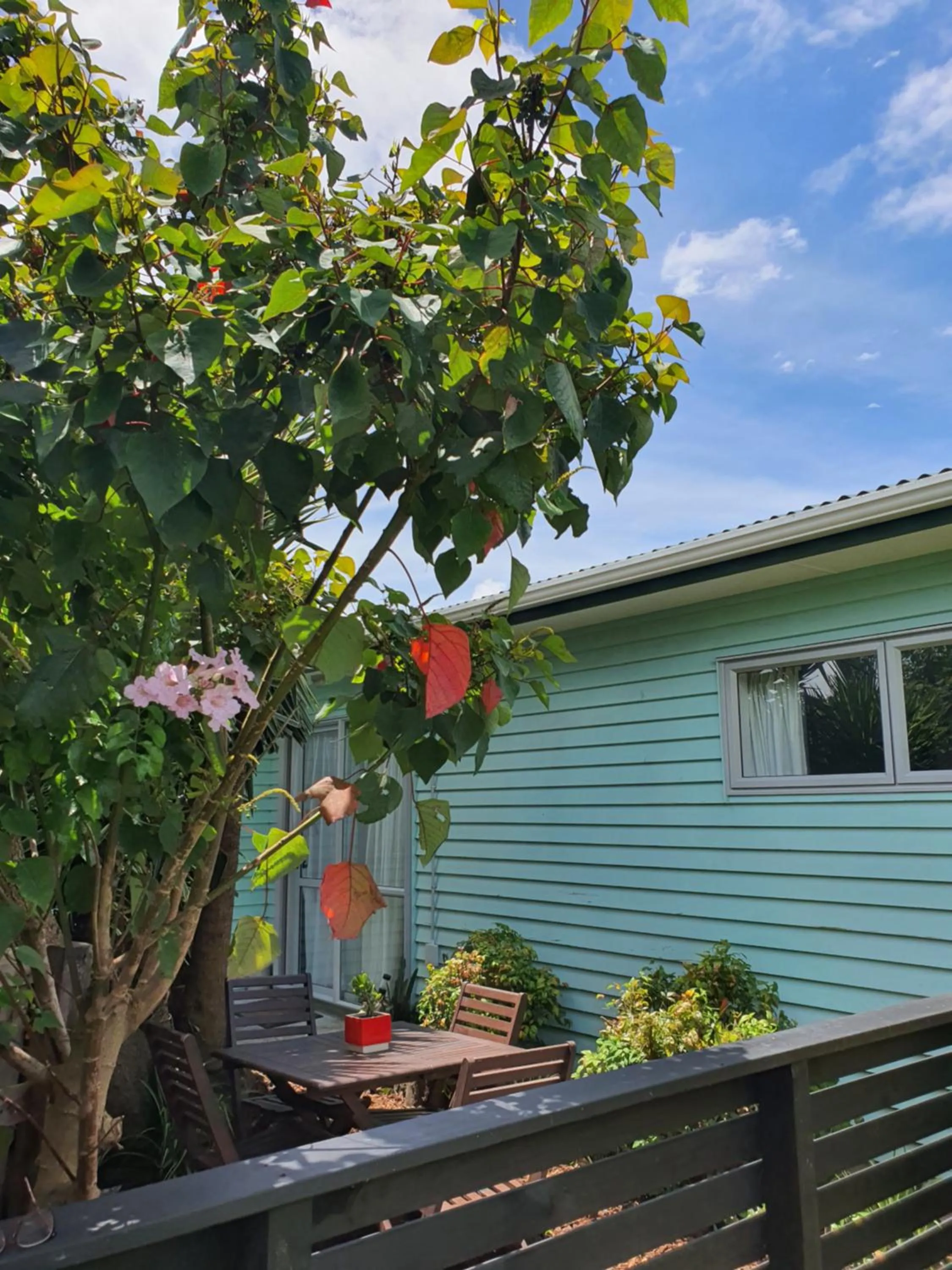 Property building in Alice House
