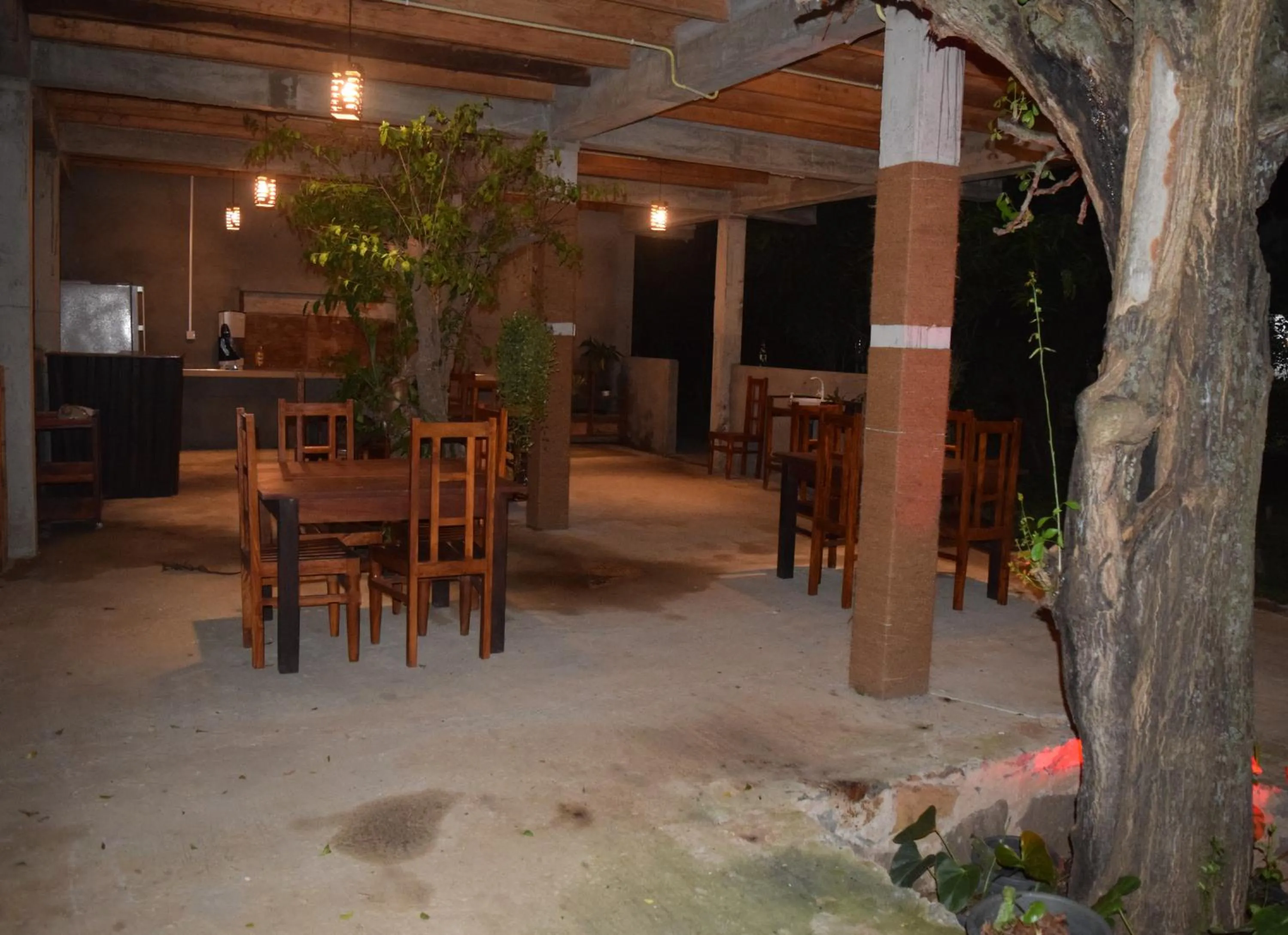 Restaurant/places to eat in Lavish Eco Jungle