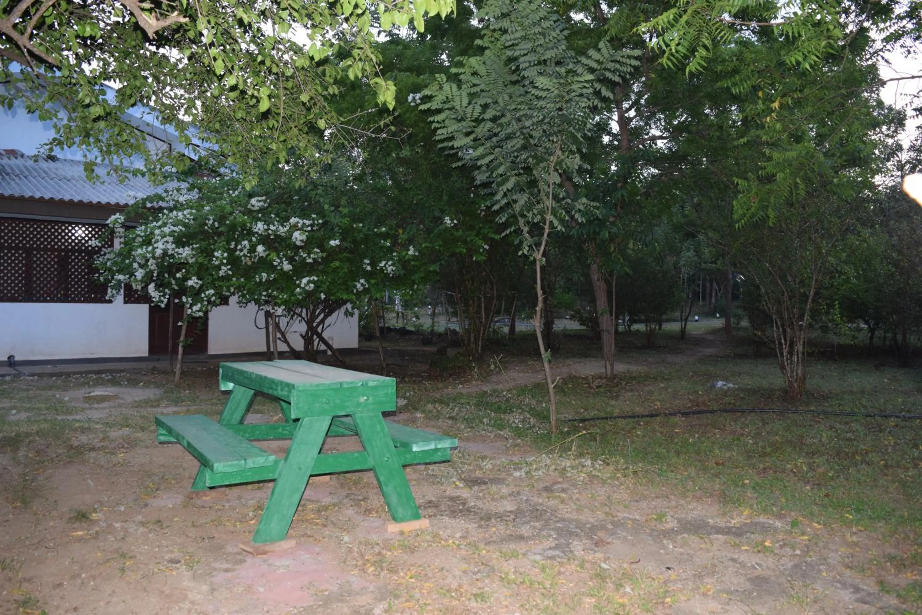 Area and facilities in Lavish Eco Jungle