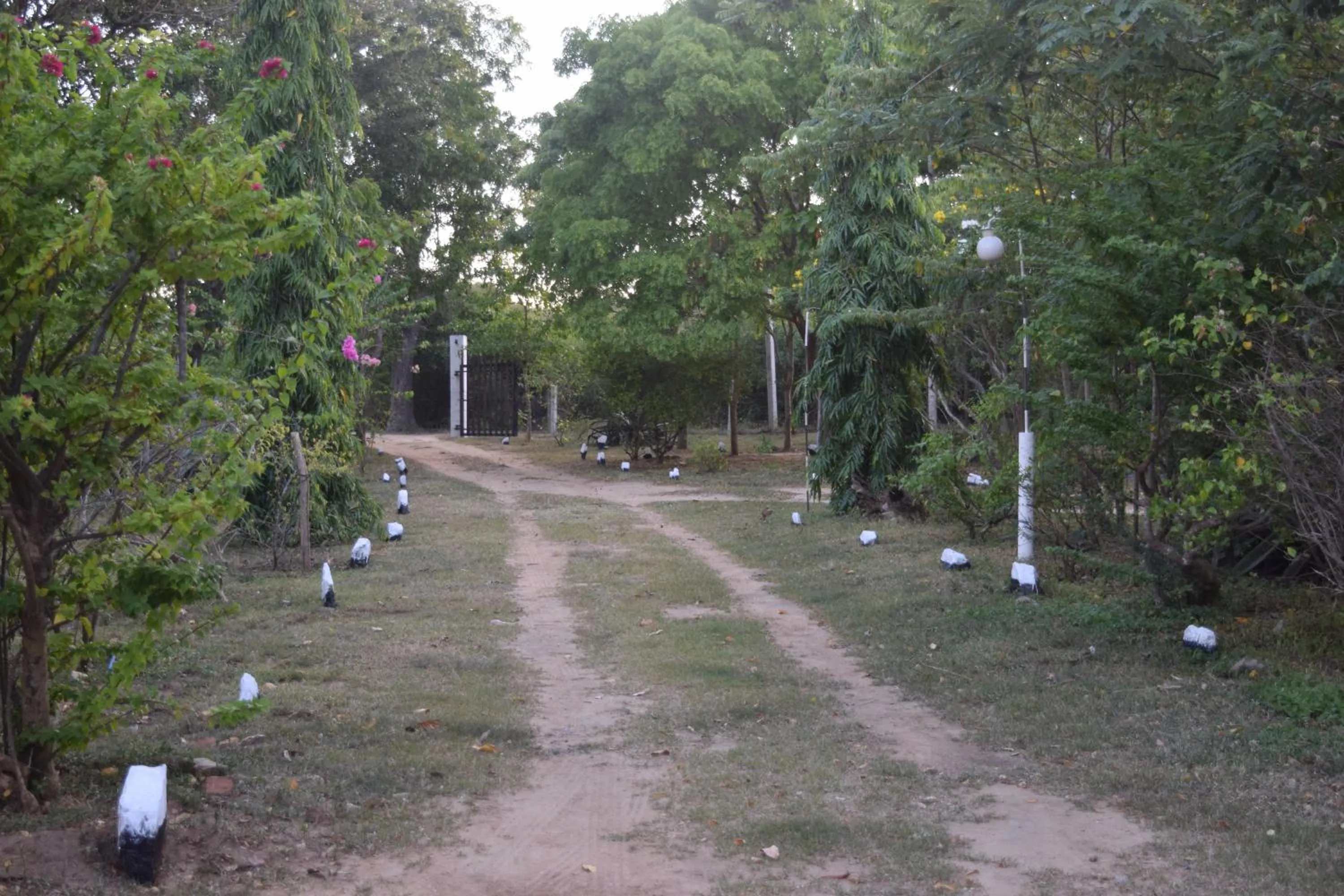 Garden in Lavish Eco Jungle