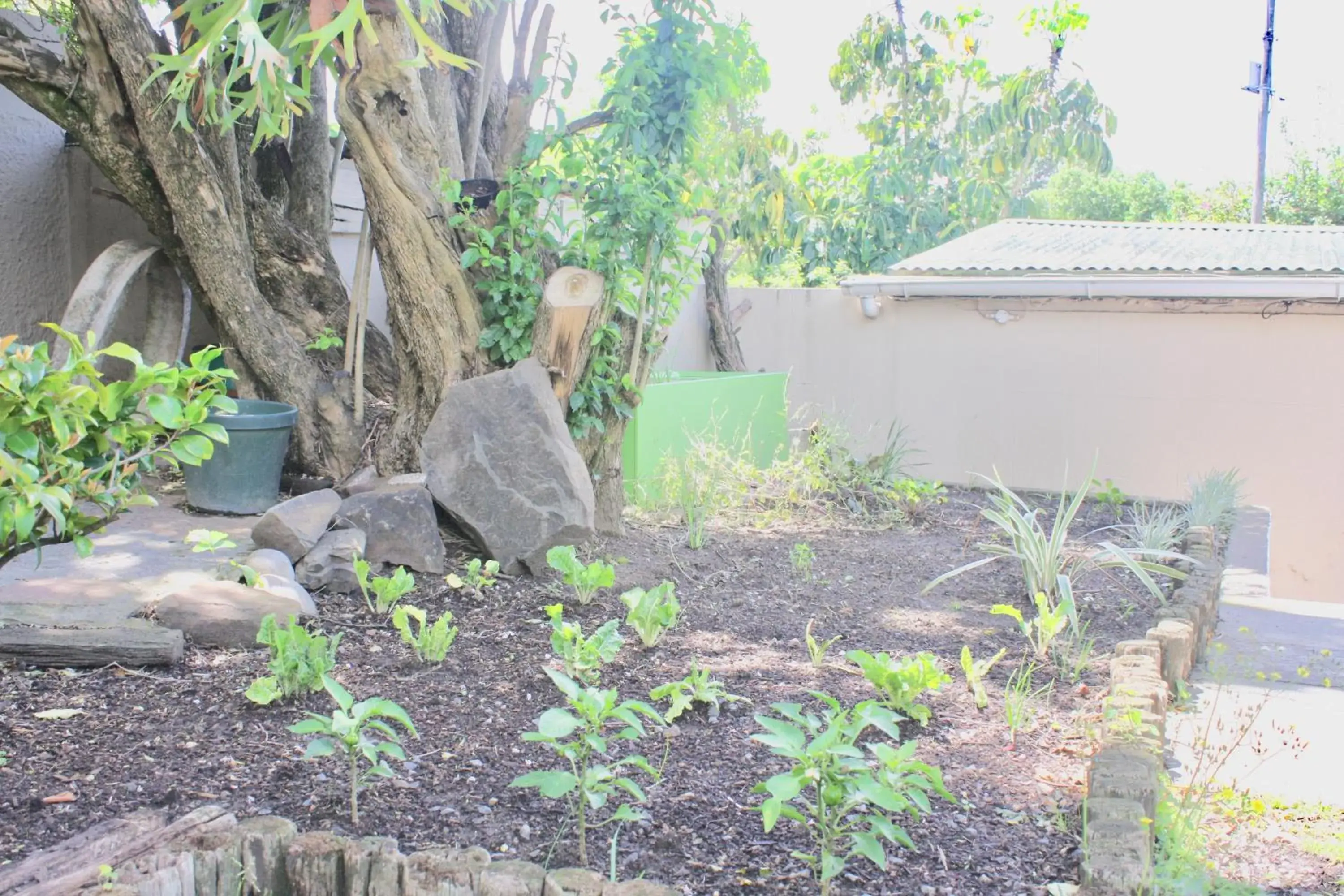 Garden view in Selborne Bed and Breakfast Garden view in Selborne Bed and Breakfast
