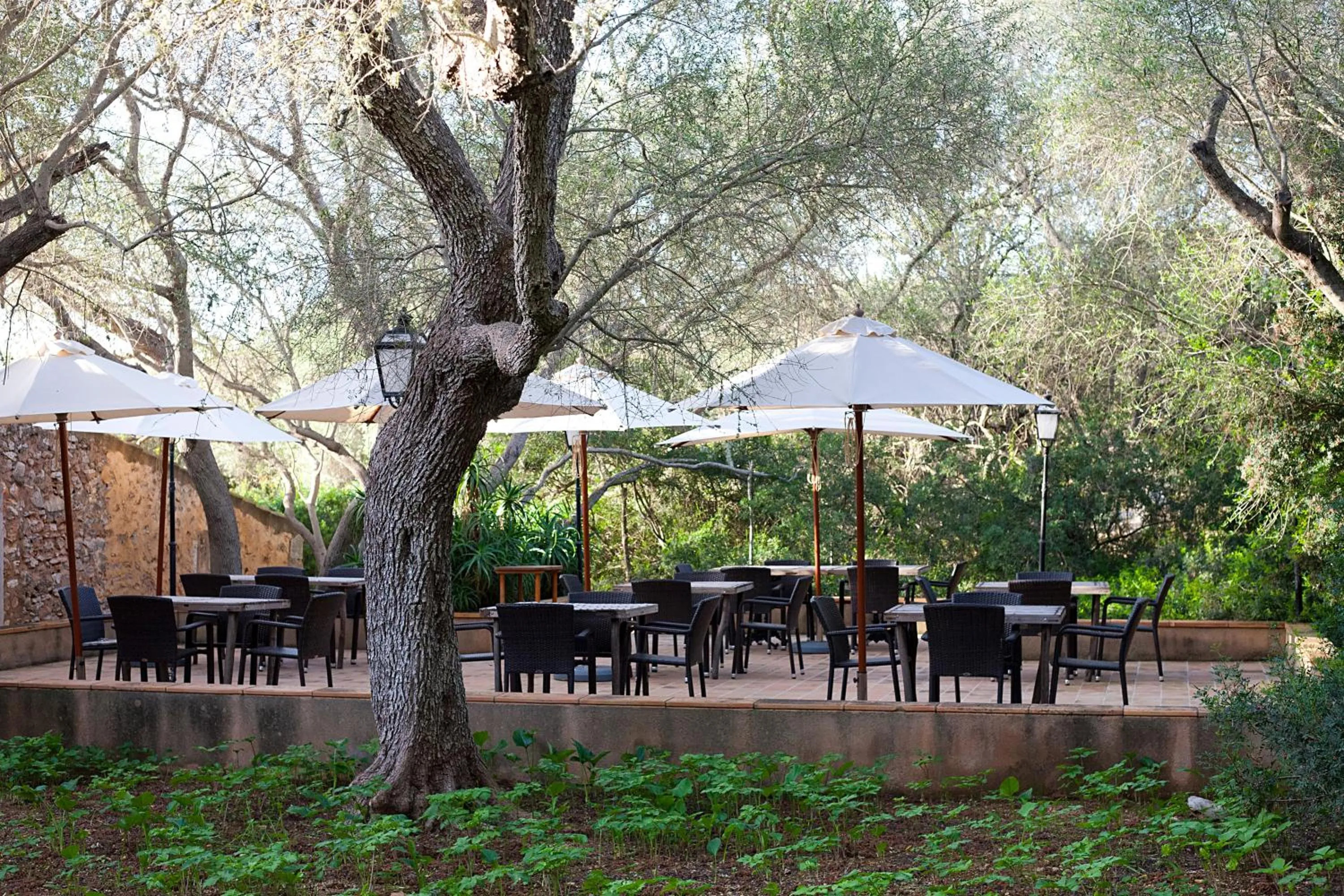 Garden in Agroturisme Ca'n Gaia