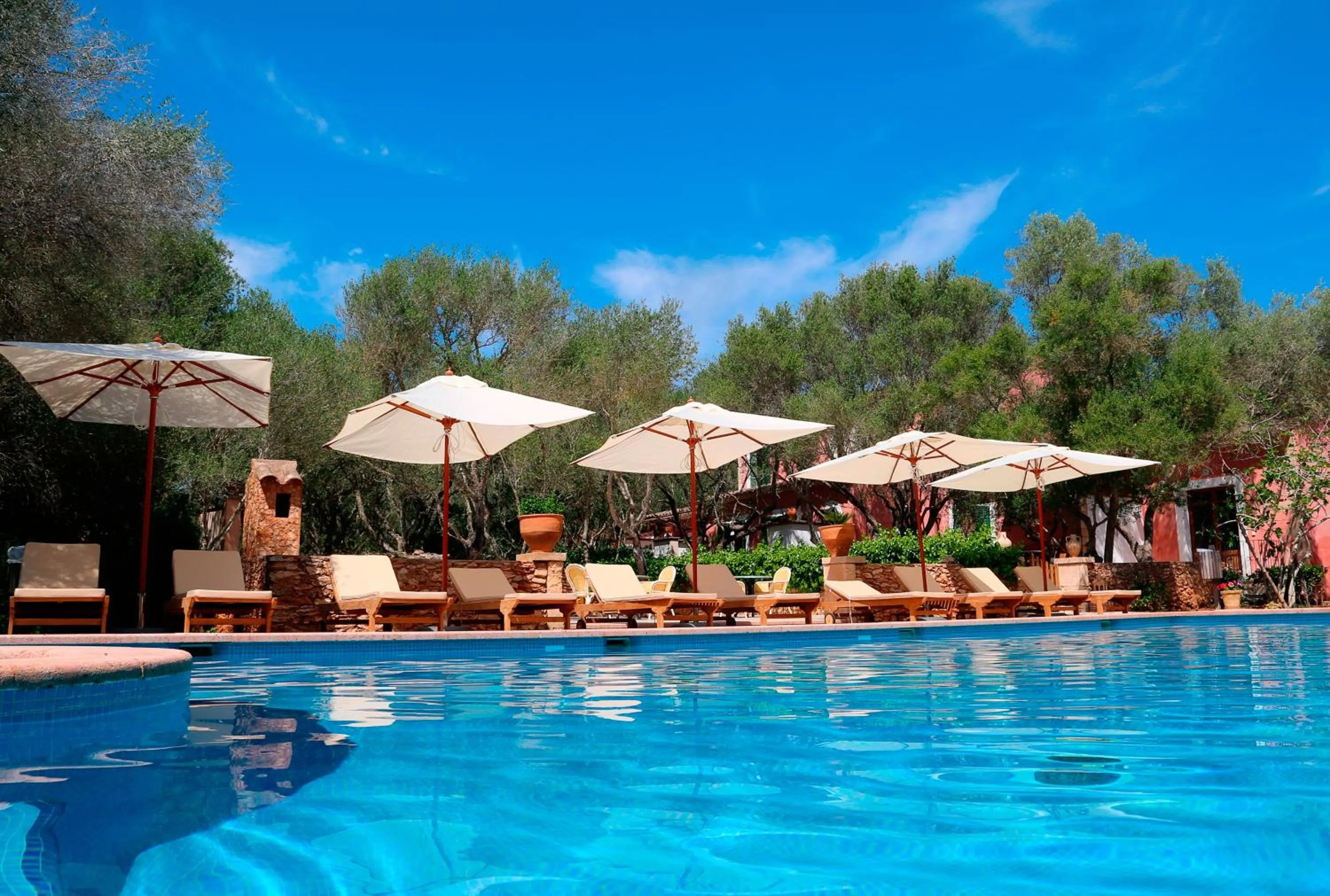 Garden in Agroturisme Ca'n Gaia