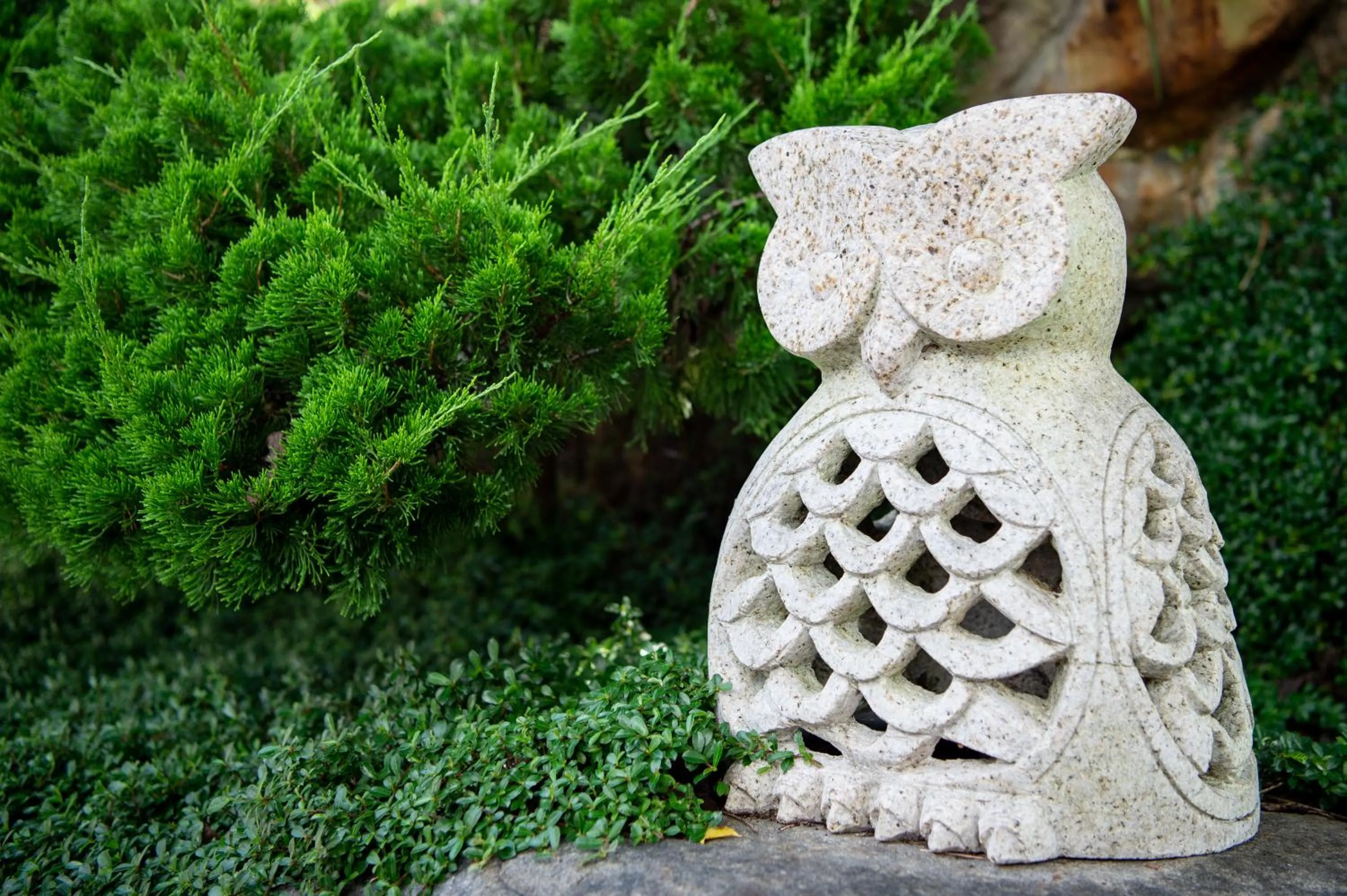 Mountain view in Fantasy Palace